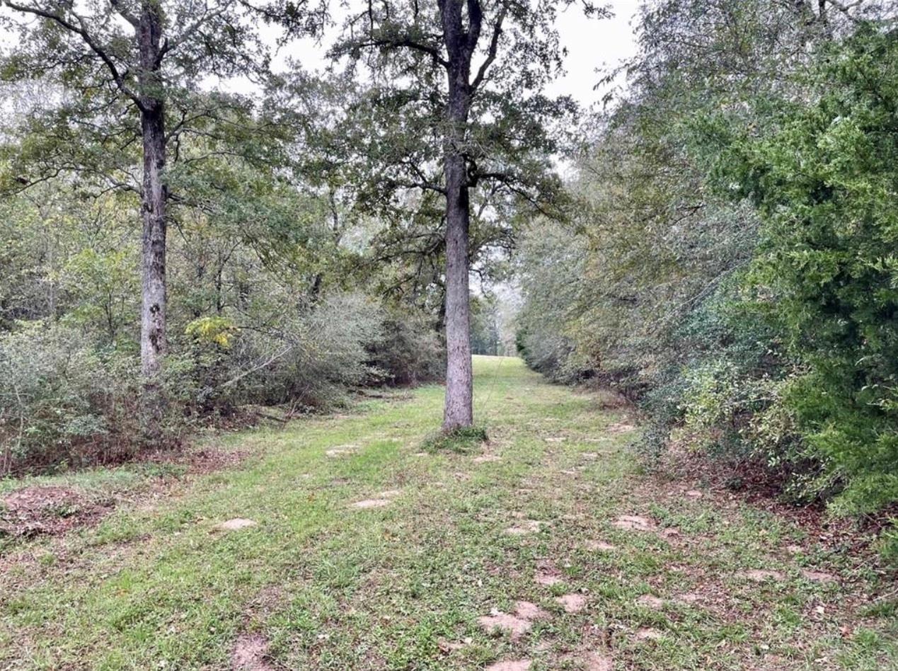 1073 Creekside Ln Property Photo 15