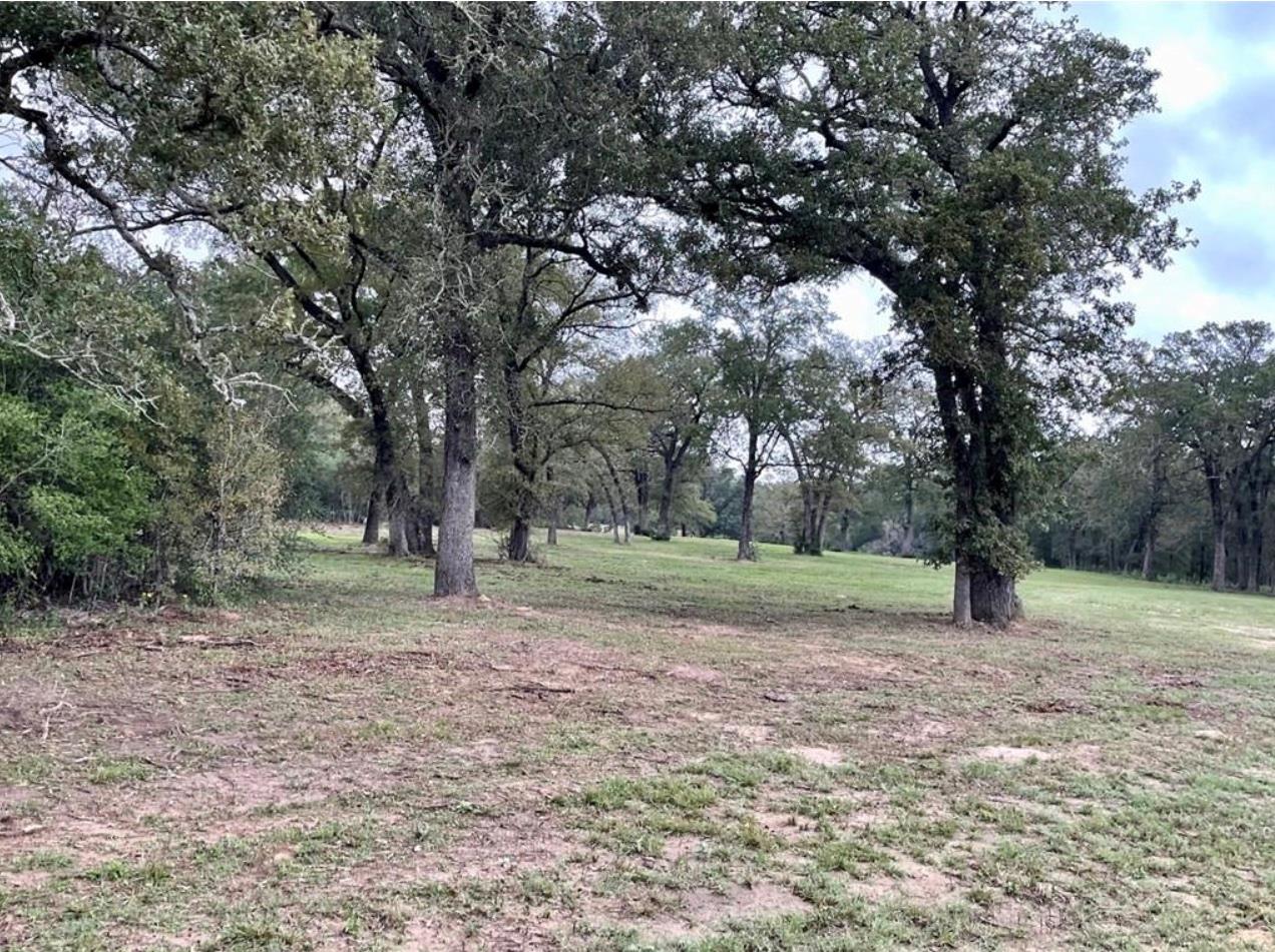 1073 Creekside Ln Property Photo 18