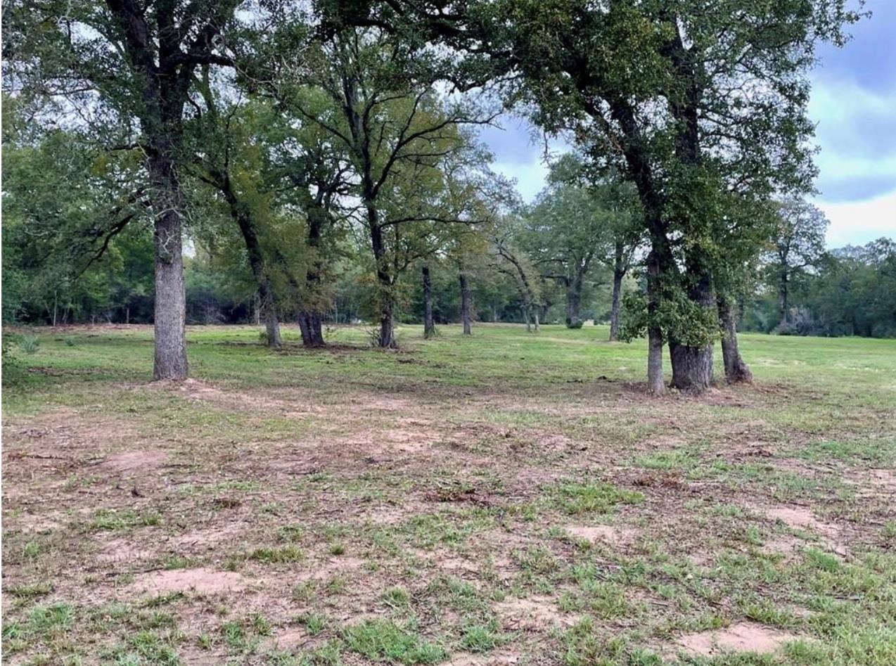 1073 Creekside Ln Property Photo 19