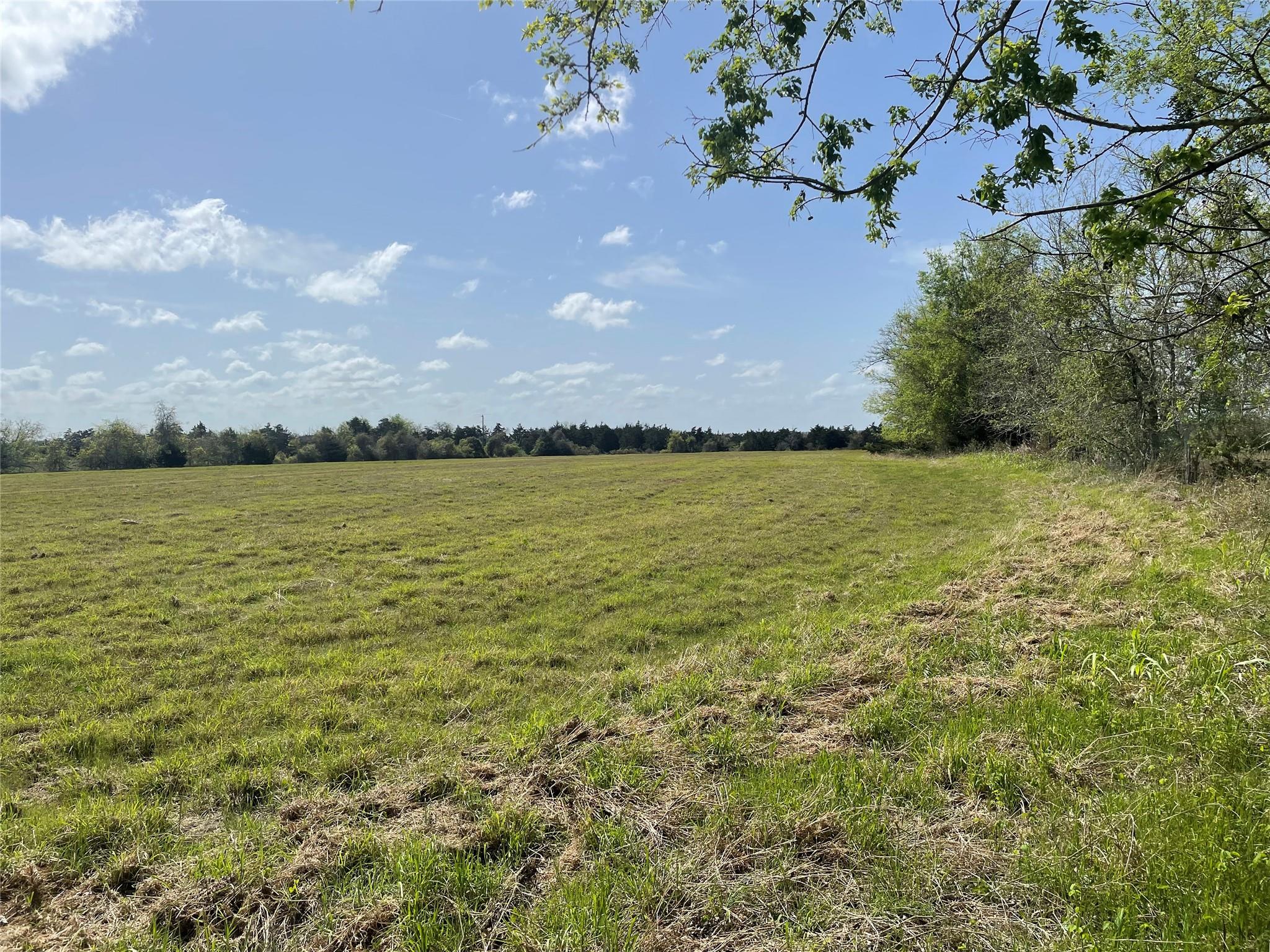 Schulenburg Real Estate Listings Main Image