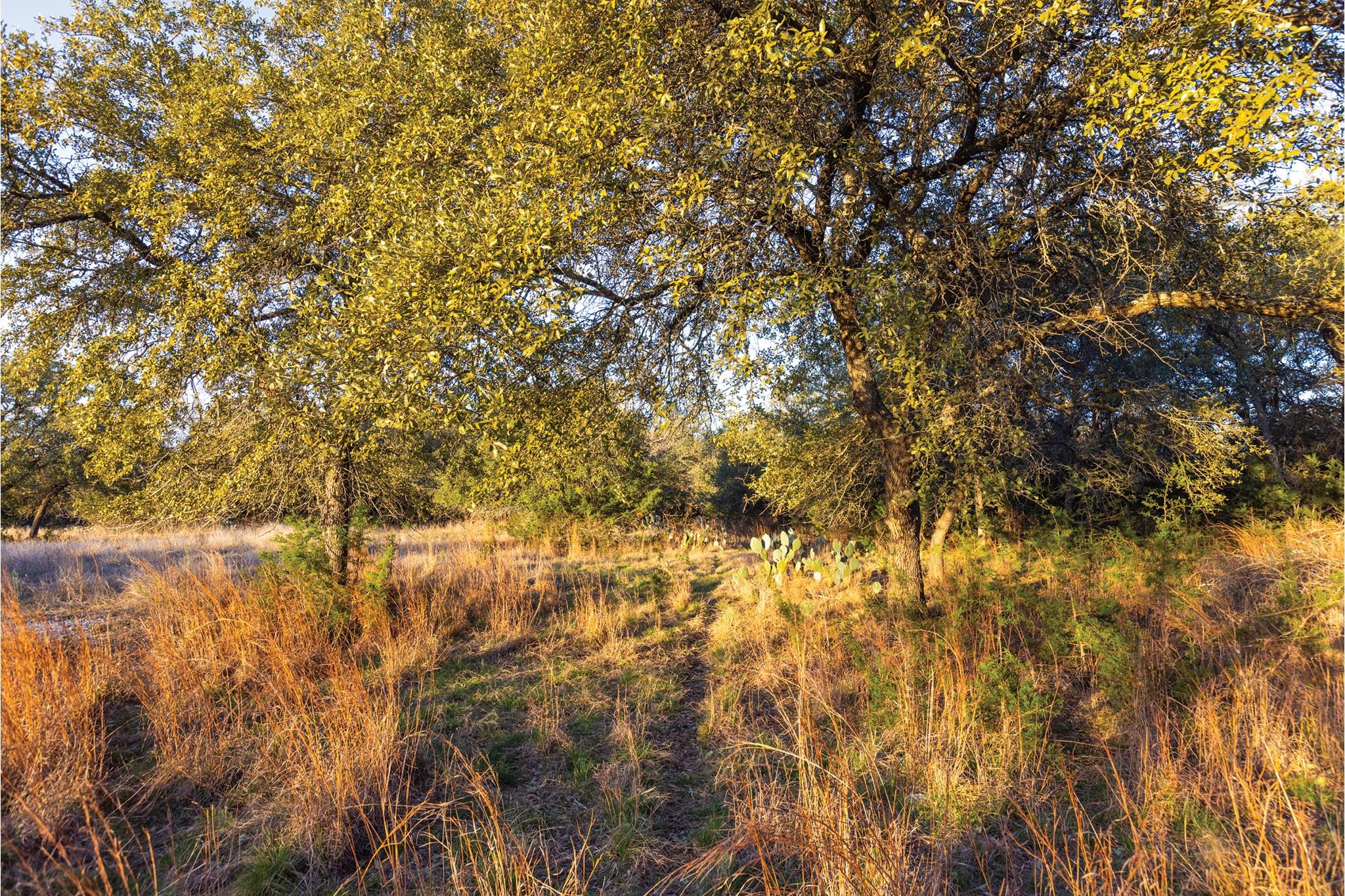 1906 Santa Rosa Ave Property Photo 16