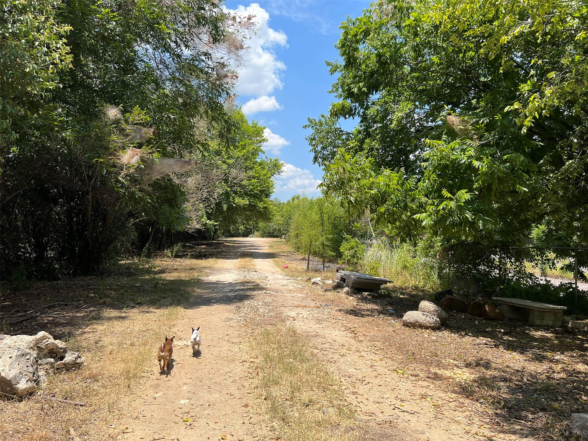 914 Shady Ln #tract 1 Property Photo 3