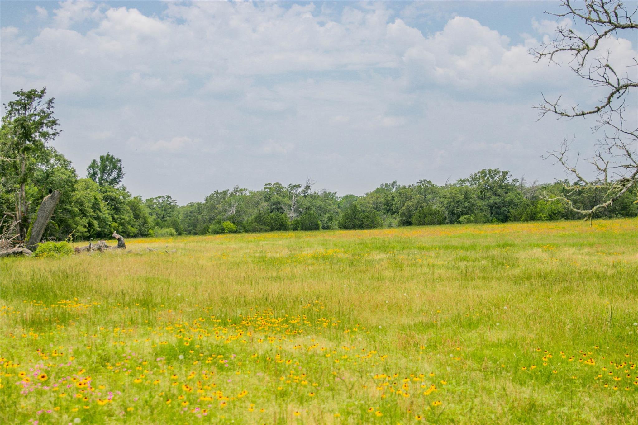 Lot 32 (5.41 Acres) Legacy Rd Property Photo 11