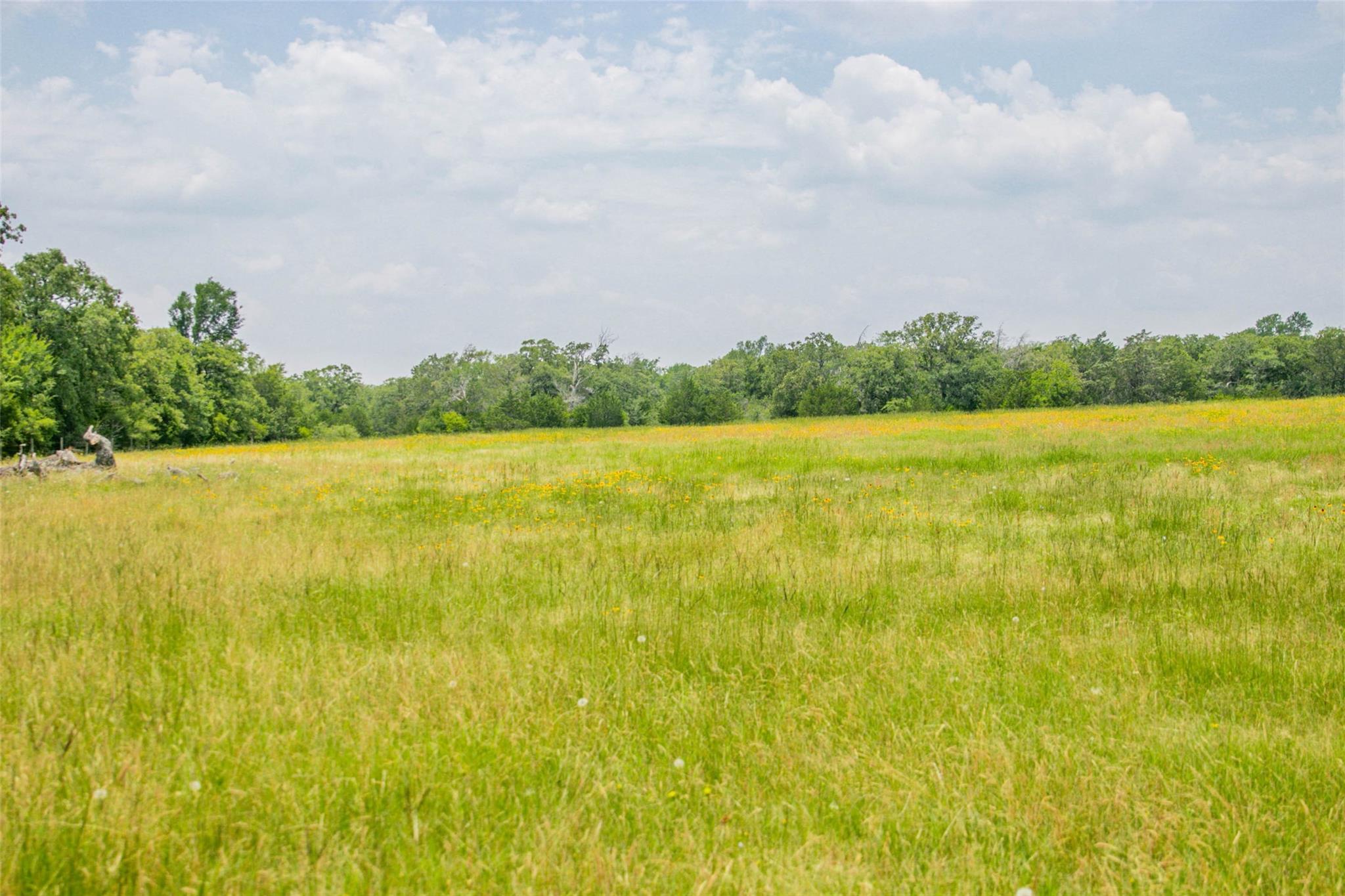 Lot 32 (5.41 Acres) Legacy Rd Property Photo 12