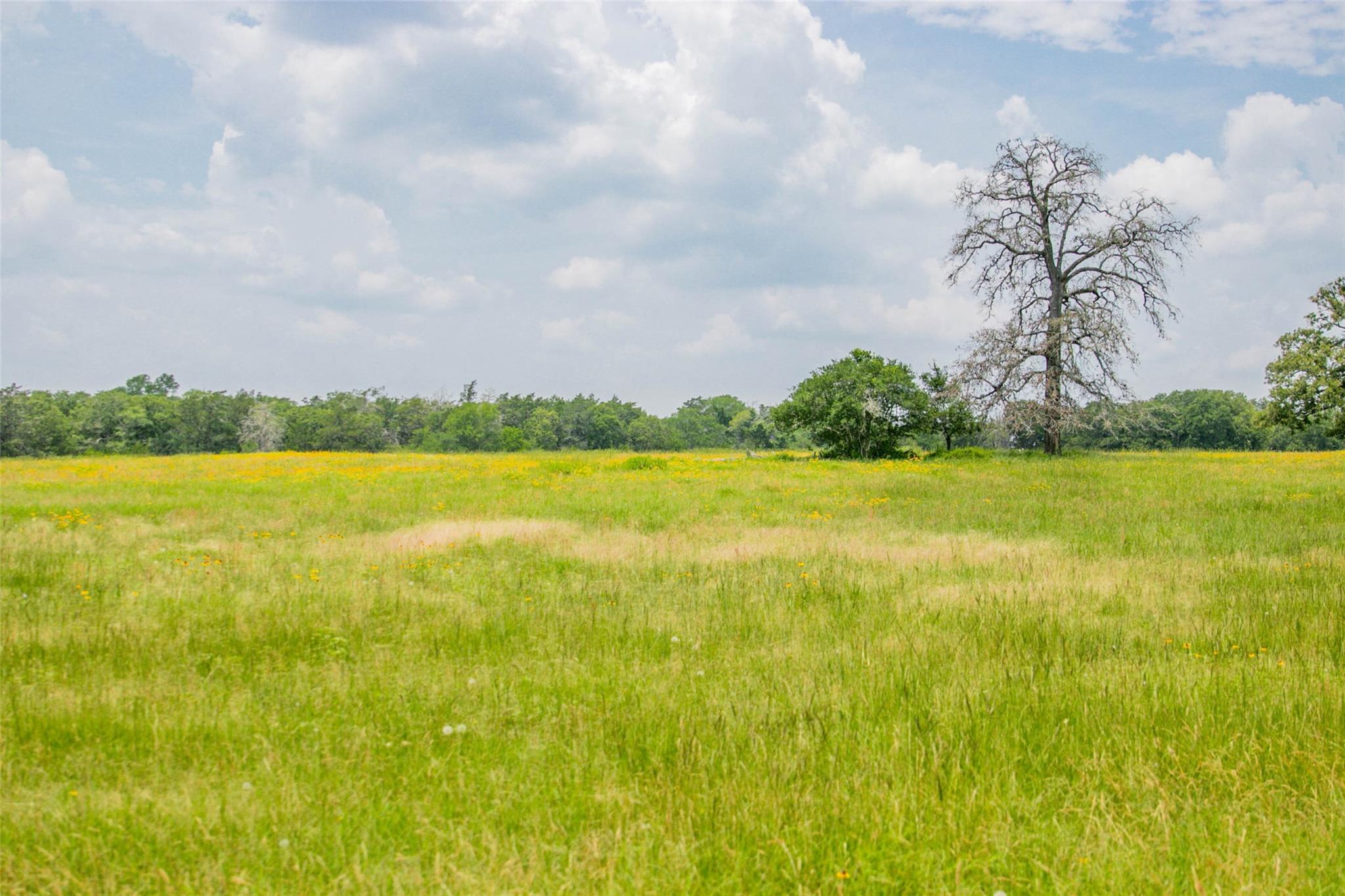 Lot 32 (5.41 Acres) Legacy Rd Property Photo 13