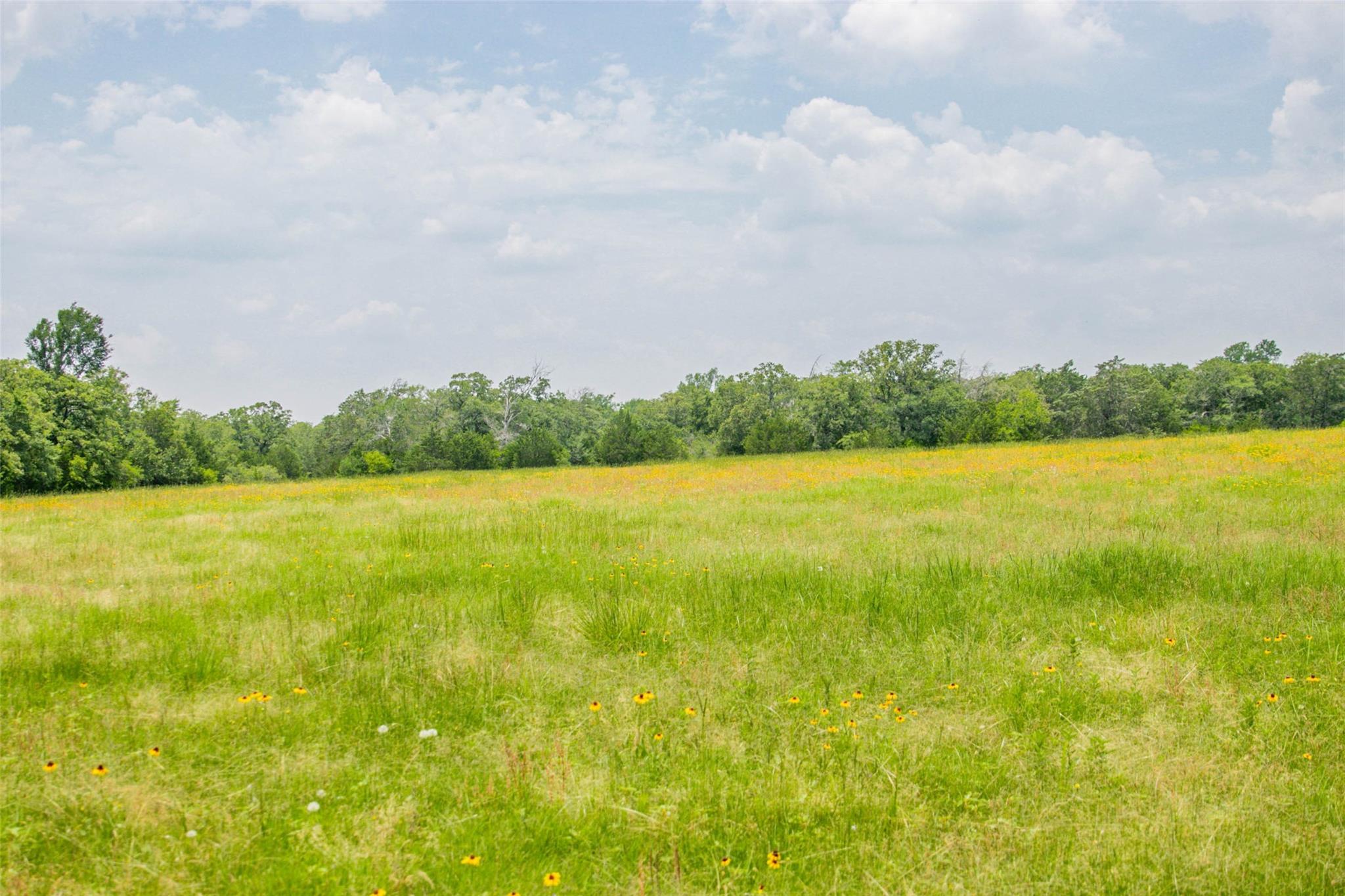 Lot 32 (5.41 Acres) Legacy Rd Property Photo 14