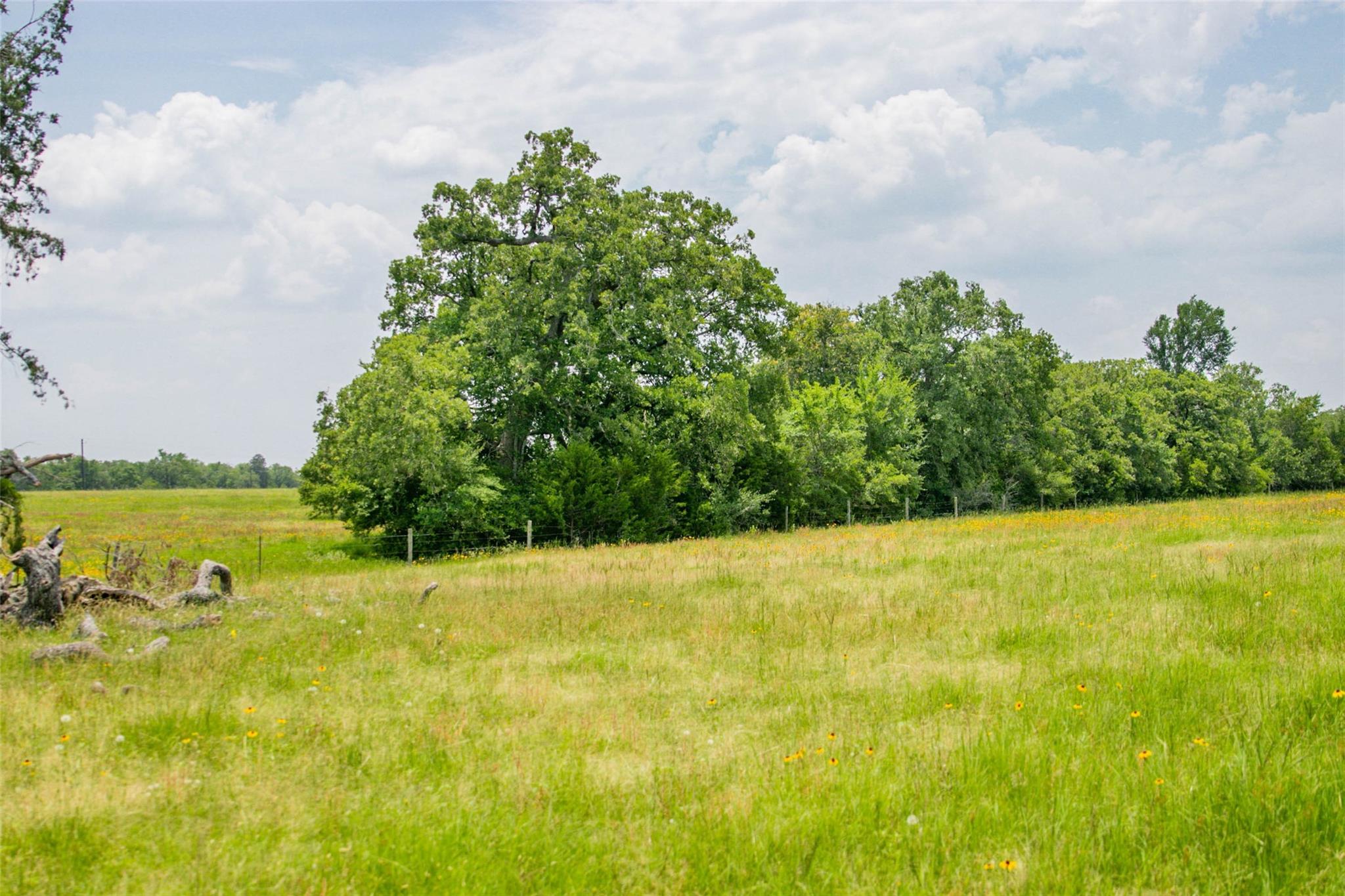 Lot 32 (5.41 Acres) Legacy Rd Property Photo 16