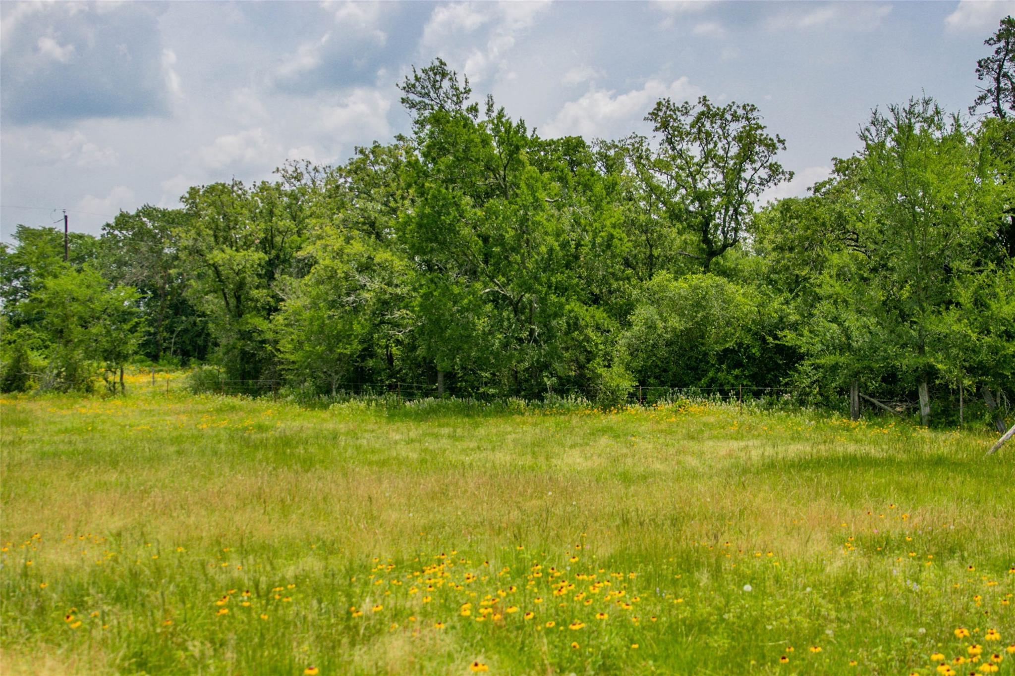Lot 32 (5.41 Acres) Legacy Rd Property Photo 17