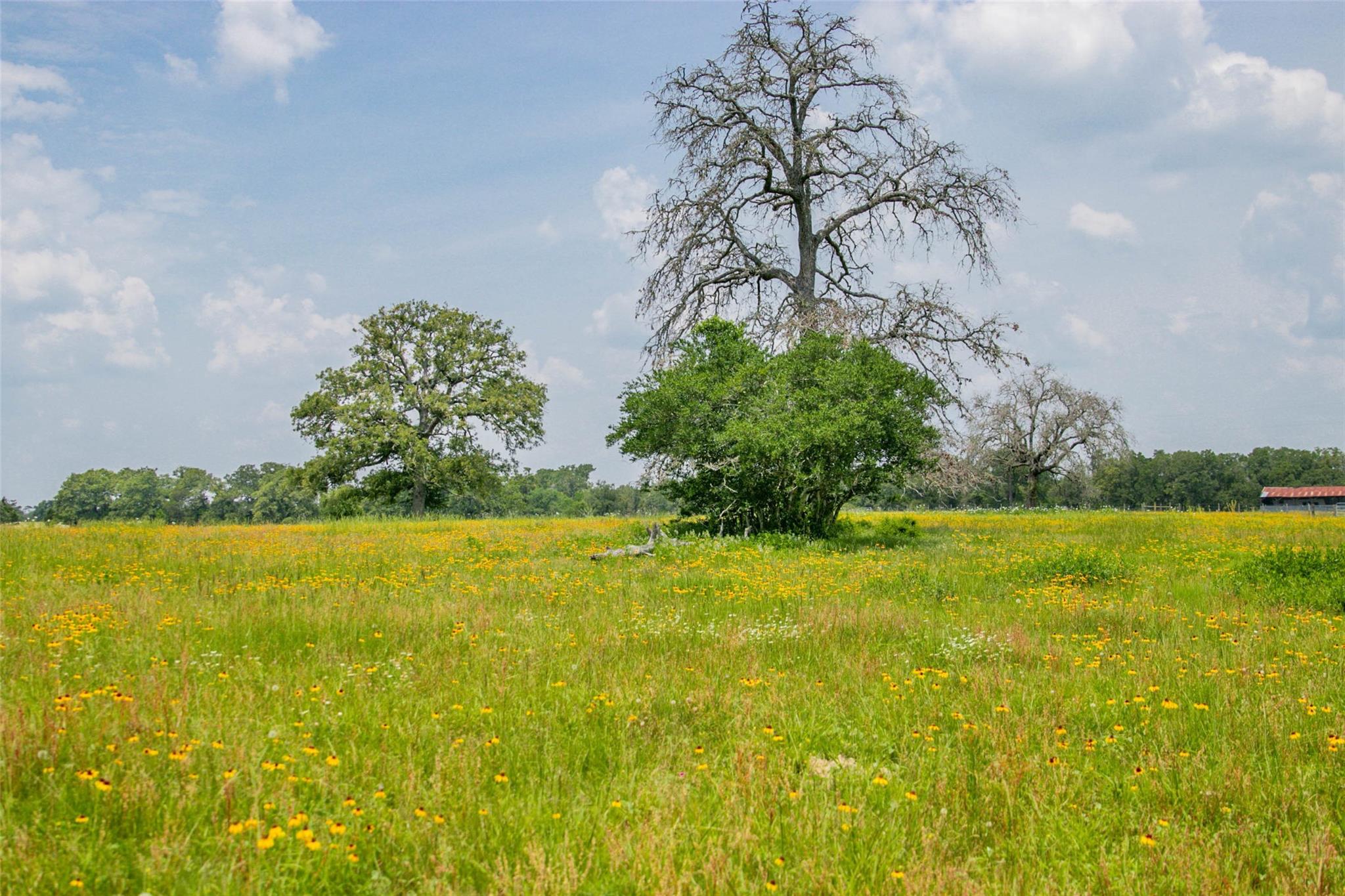 Lot 32 (5.41 Acres) Legacy Rd Property Photo 18