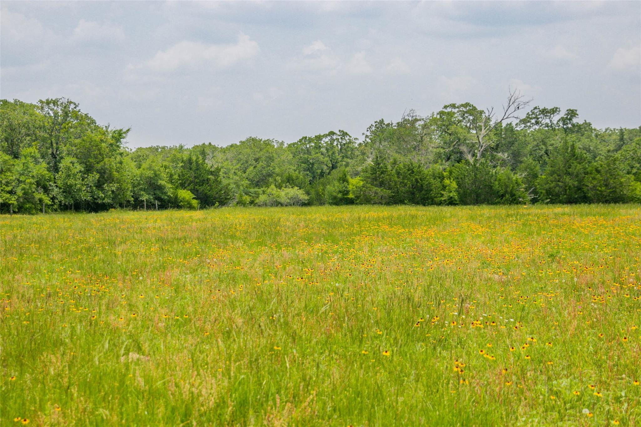 Lot 32 (5.41 Acres) Legacy Rd Property Photo 19