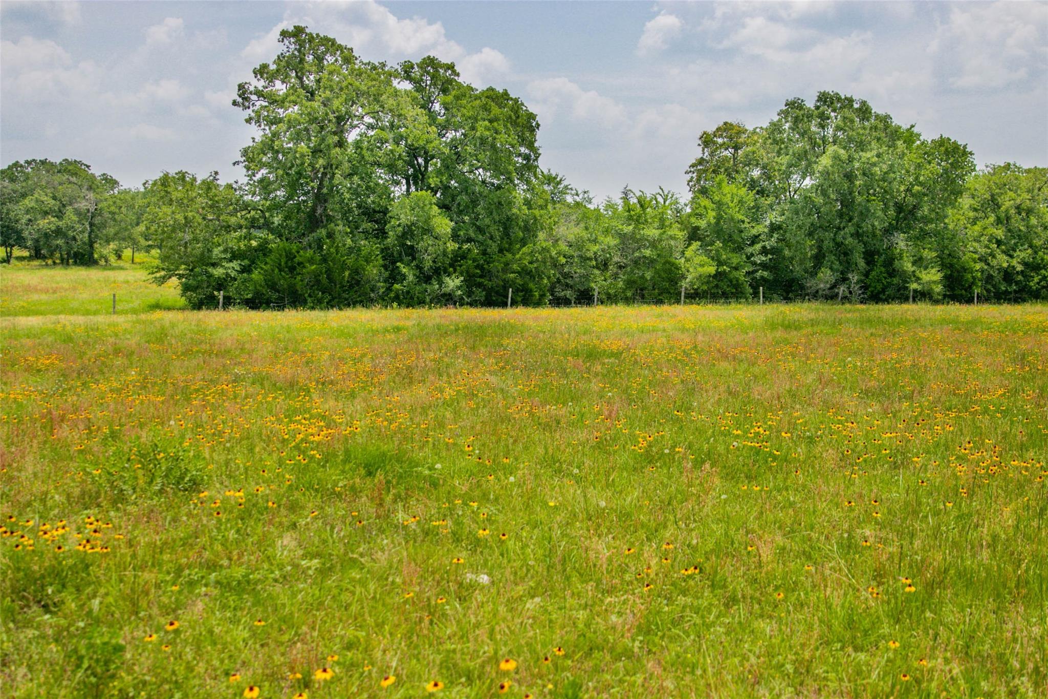 Lot 32 (5.41 Acres) Legacy Rd Property Photo 20