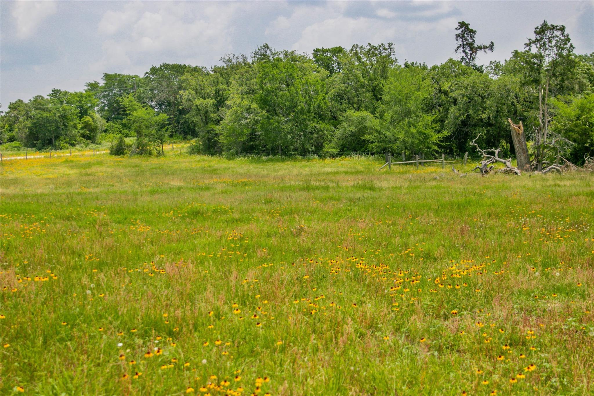 Lot 32 (5.41 Acres) Legacy Rd Property Photo 21