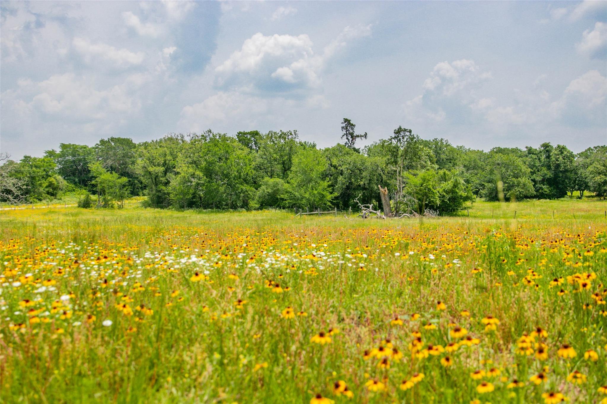 Lot 32 (5.41 Acres) Legacy Rd Property Photo 27