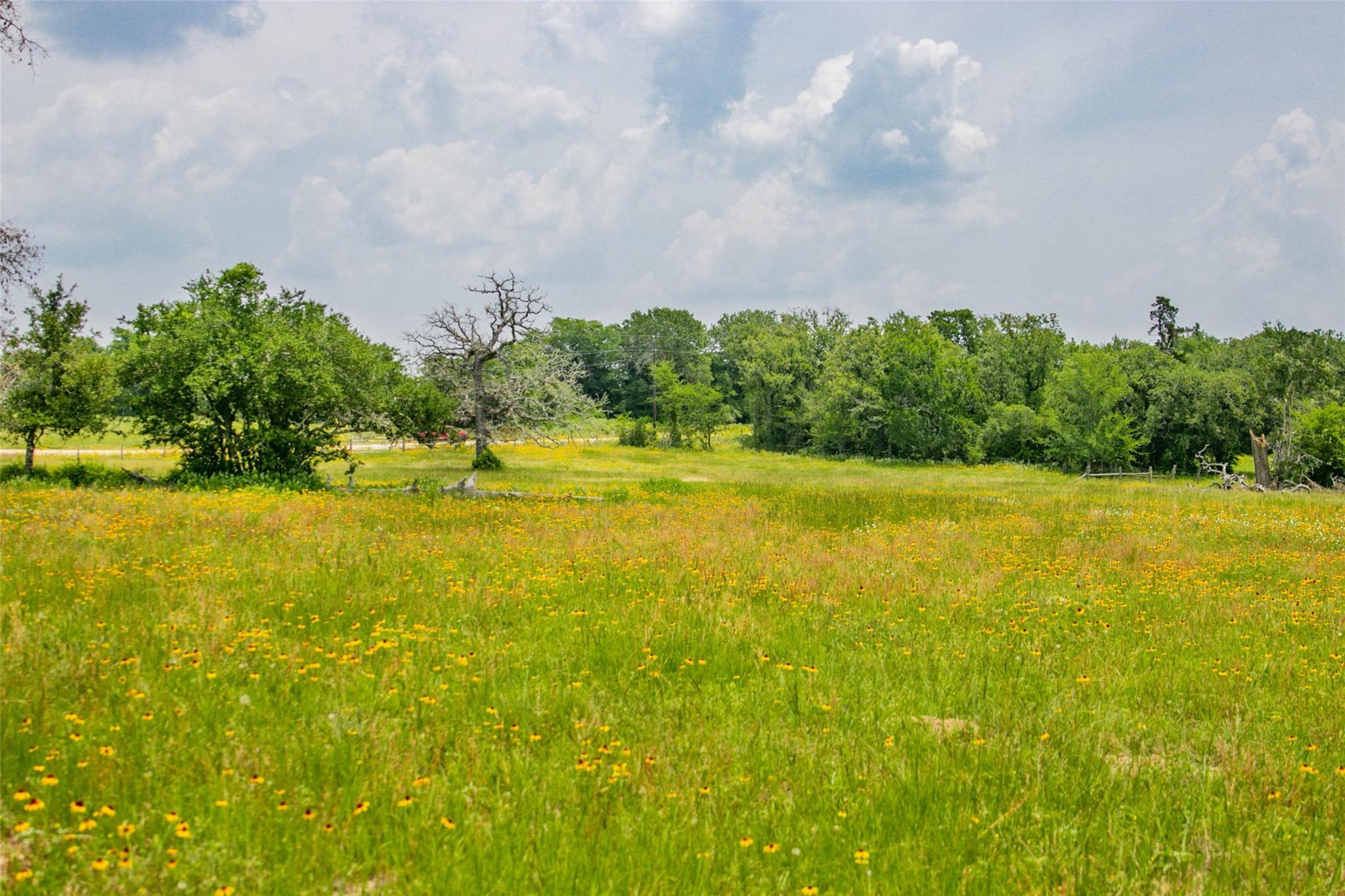Lot 32 (5.41 Acres) Legacy Rd Property Photo 28