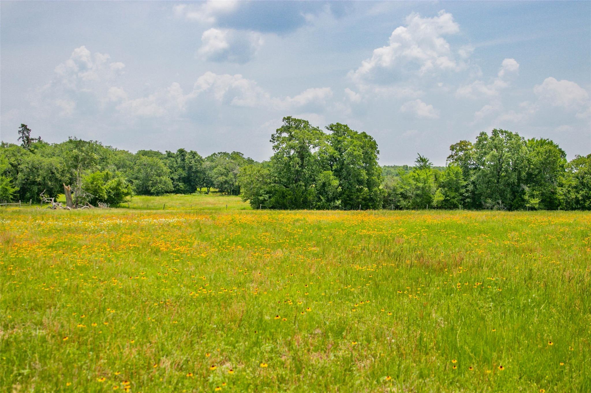 Lot 32 (5.41 Acres) Legacy Rd Property Photo 29
