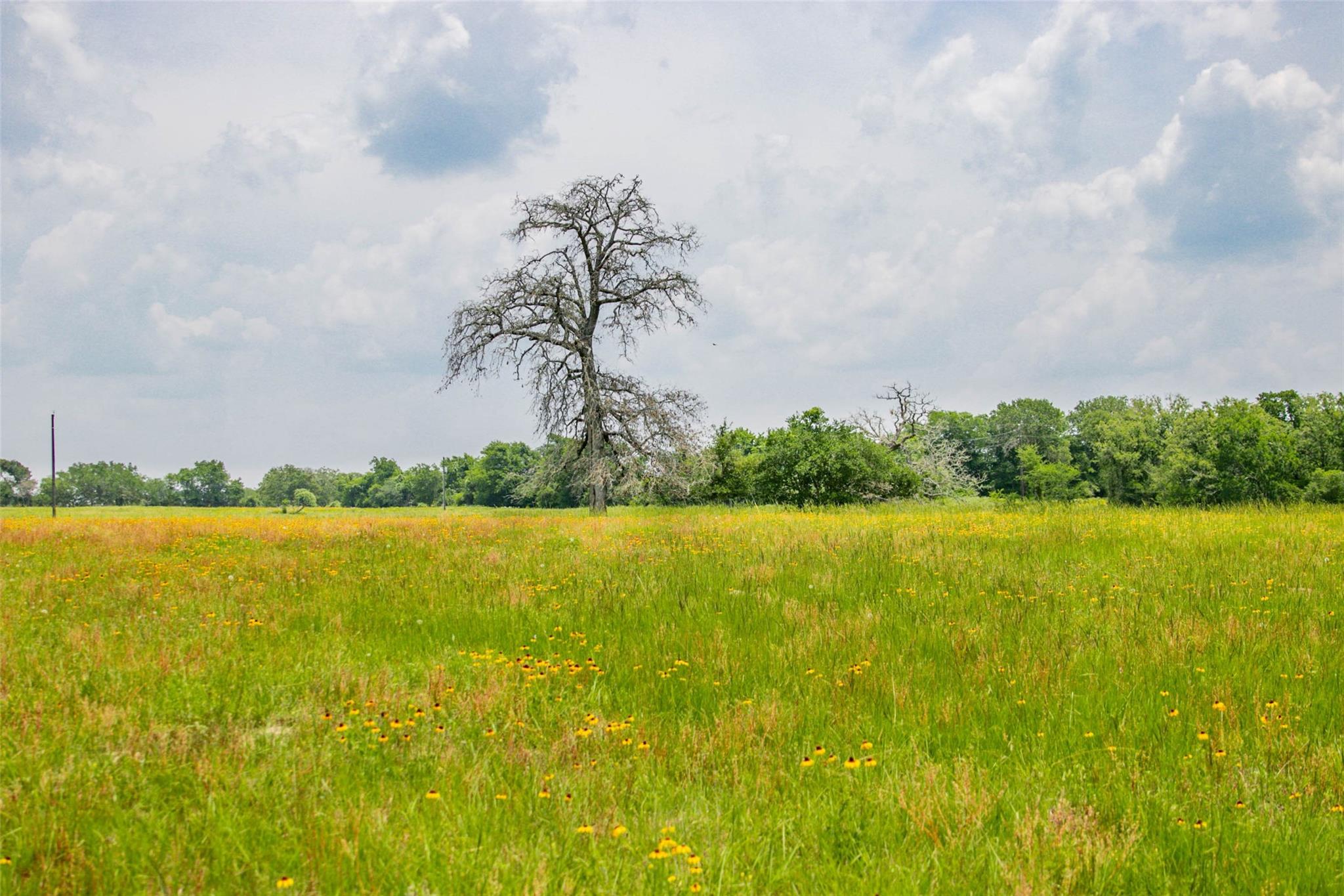 Lot 32 (5.41 Acres) Legacy Rd Property Photo 31