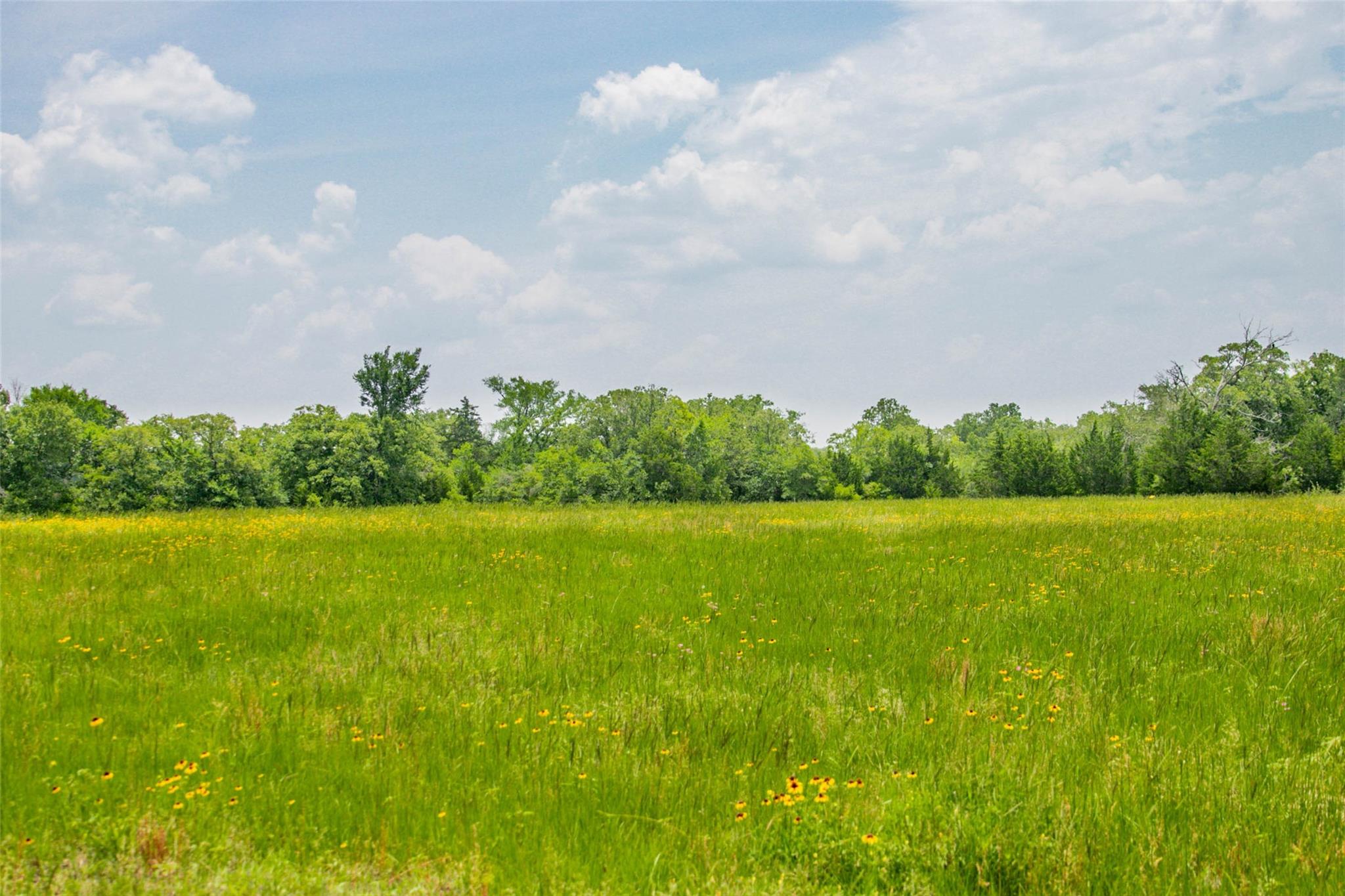 Lot 32 (5.41 Acres) Legacy Rd Property Photo 32