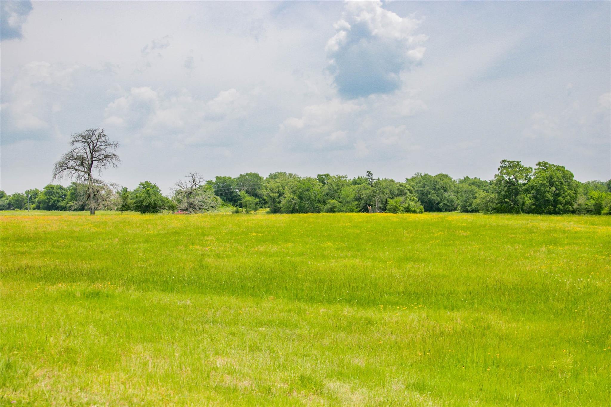 Lot 32 (5.41 Acres) Legacy Rd Property Photo 33