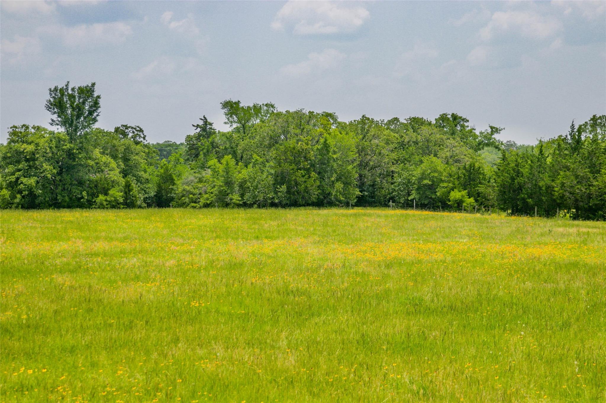 Lot 32 (5.41 Acres) Legacy Rd Property Photo 34