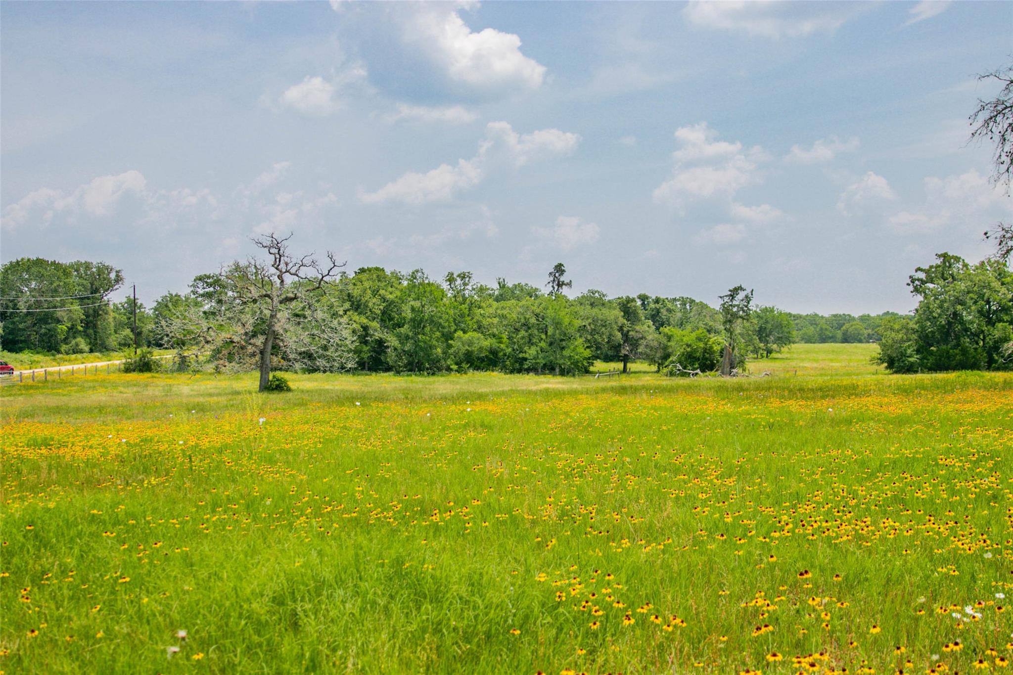 Lot 32 (5.41 Acres) Legacy Rd Property Photo 35