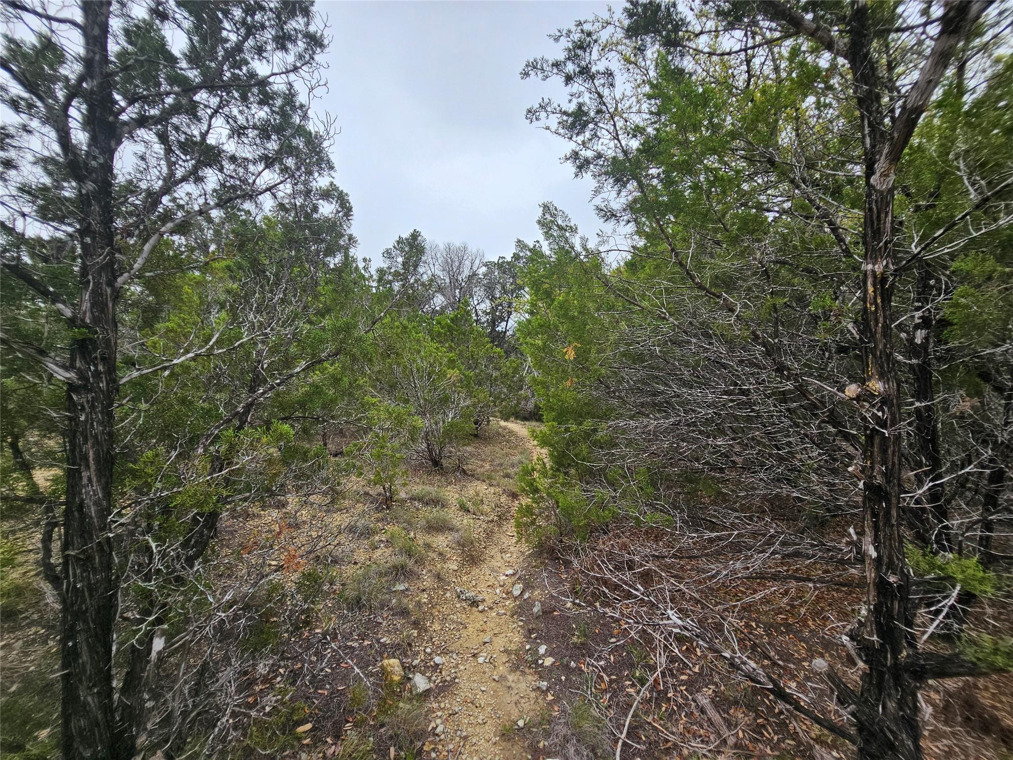 8202 Bar K Ranch Rd Property Photo 4