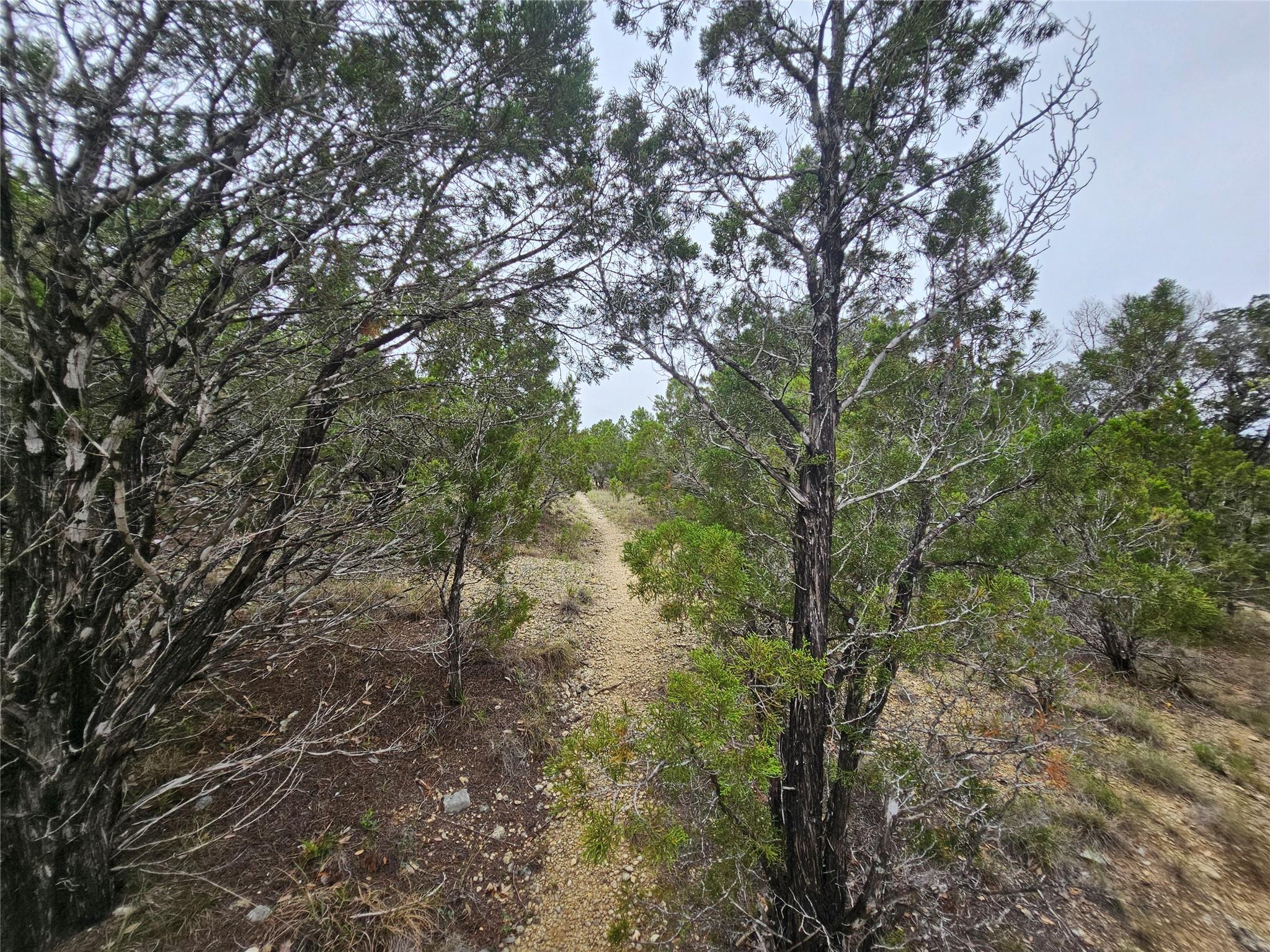 8202 Bar K Ranch Rd Property Photo 5
