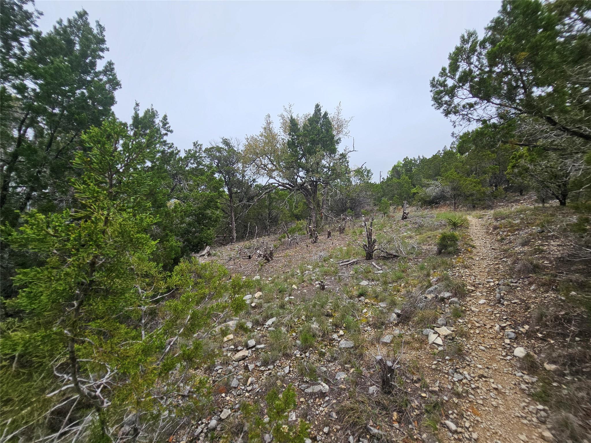 8202 Bar K Ranch Rd Property Photo 6