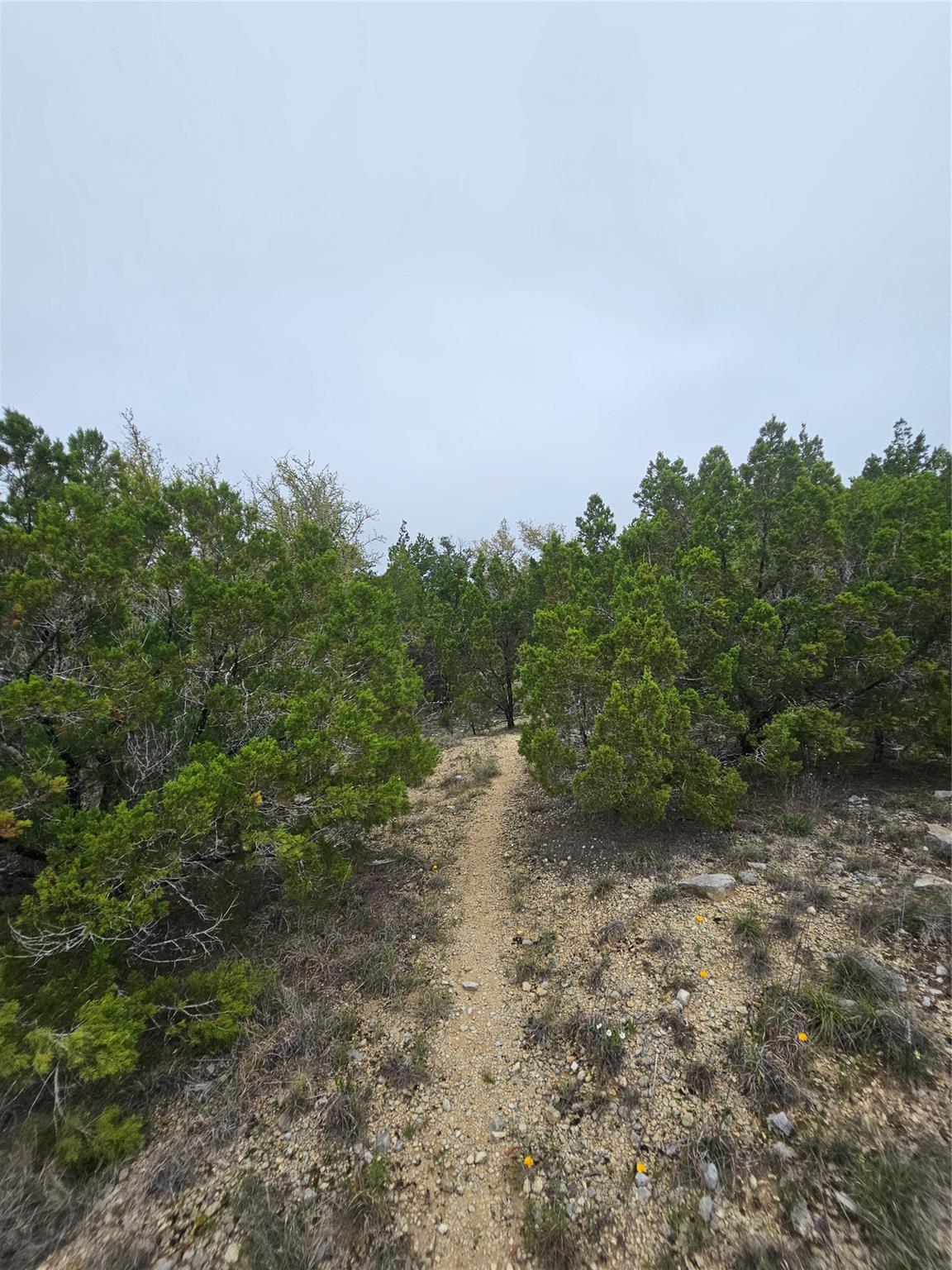 8202 Bar K Ranch Rd Property Photo 7