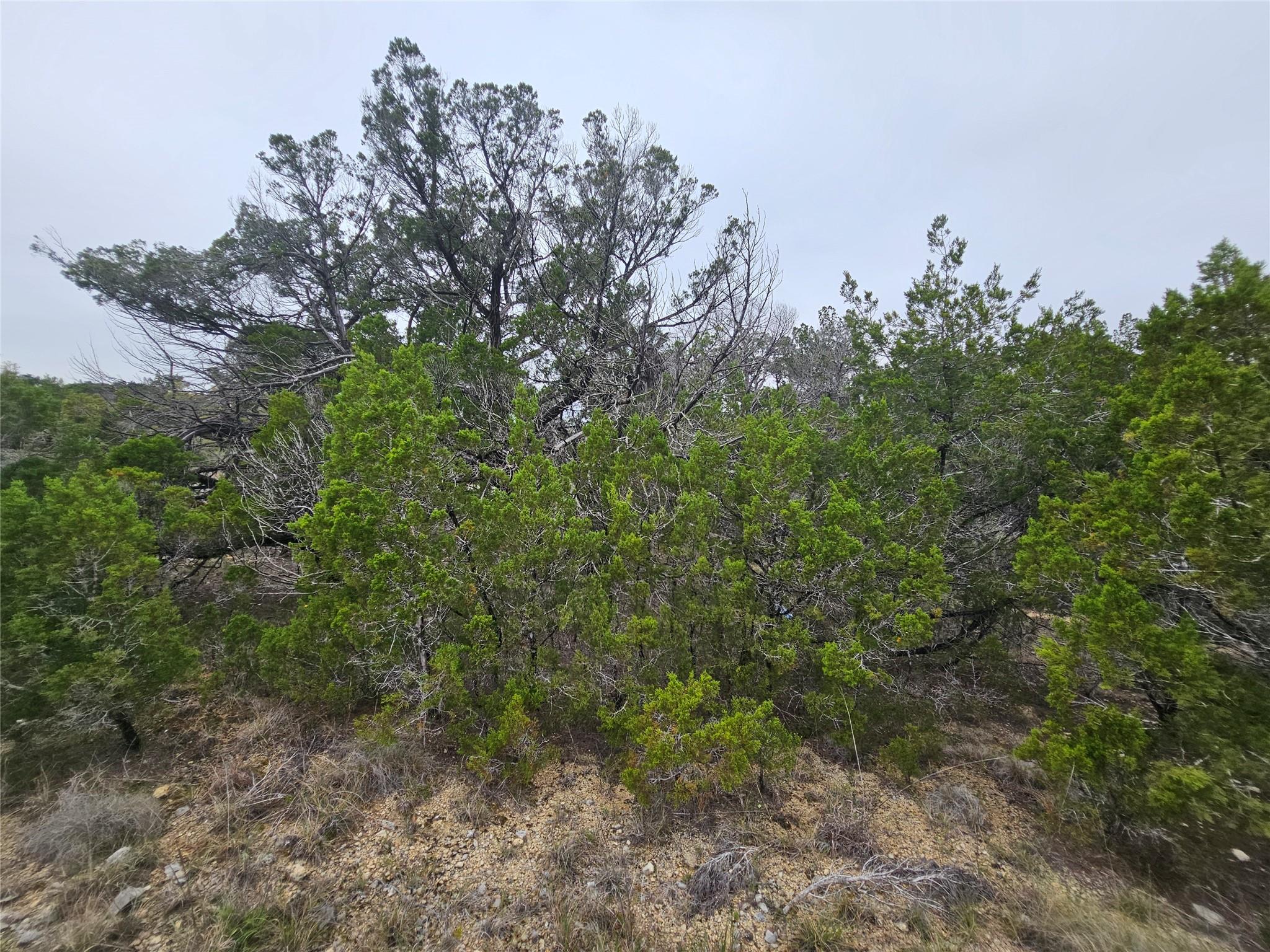 8202 Bar K Ranch Rd Property Photo 8