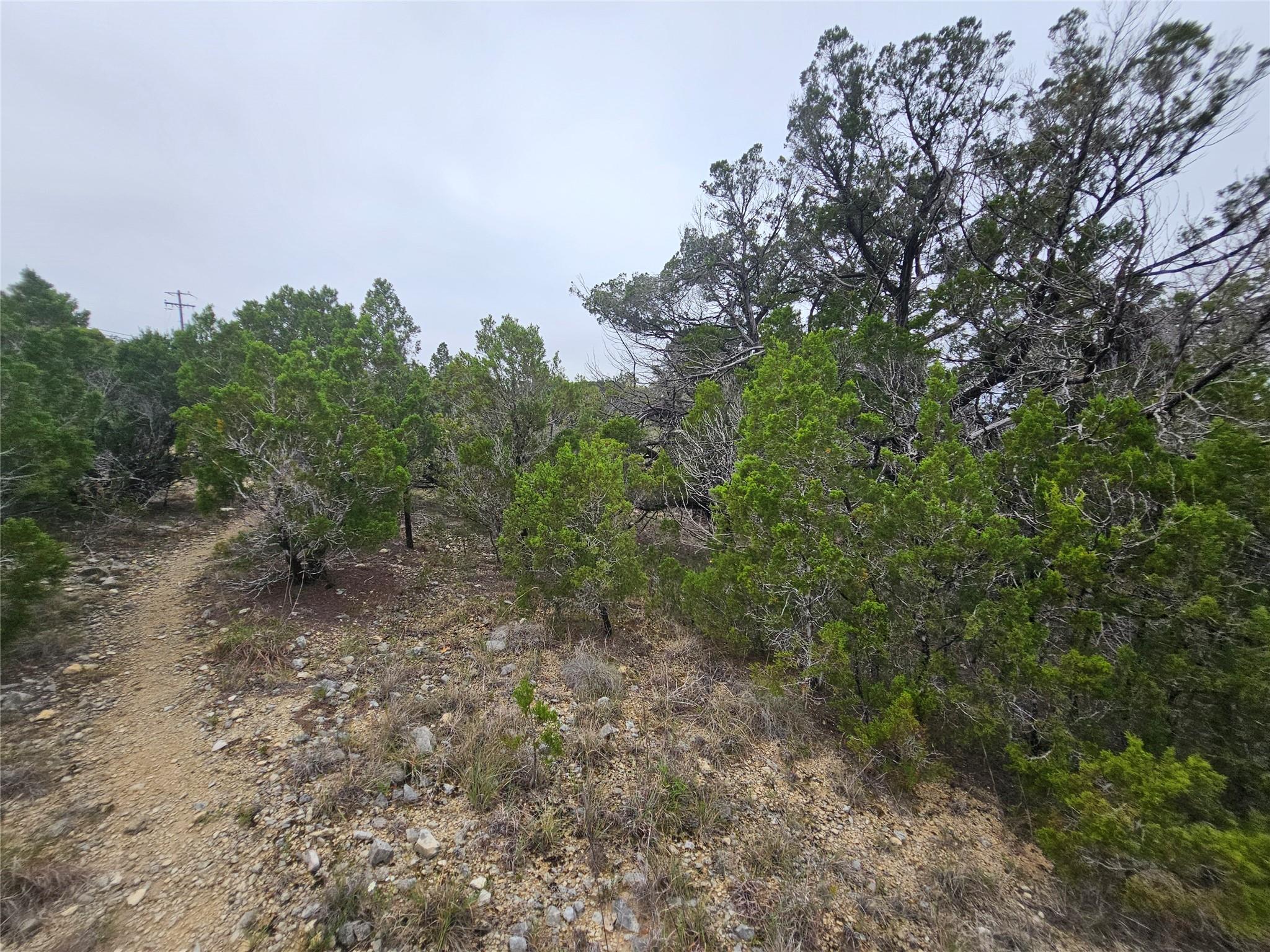 8202 Bar K Ranch Rd Property Photo 9