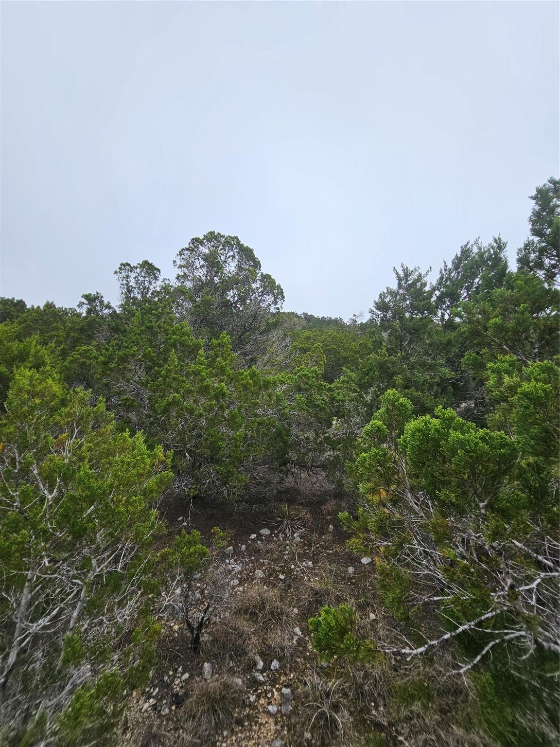 8202 Bar K Ranch Rd Property Photo 10