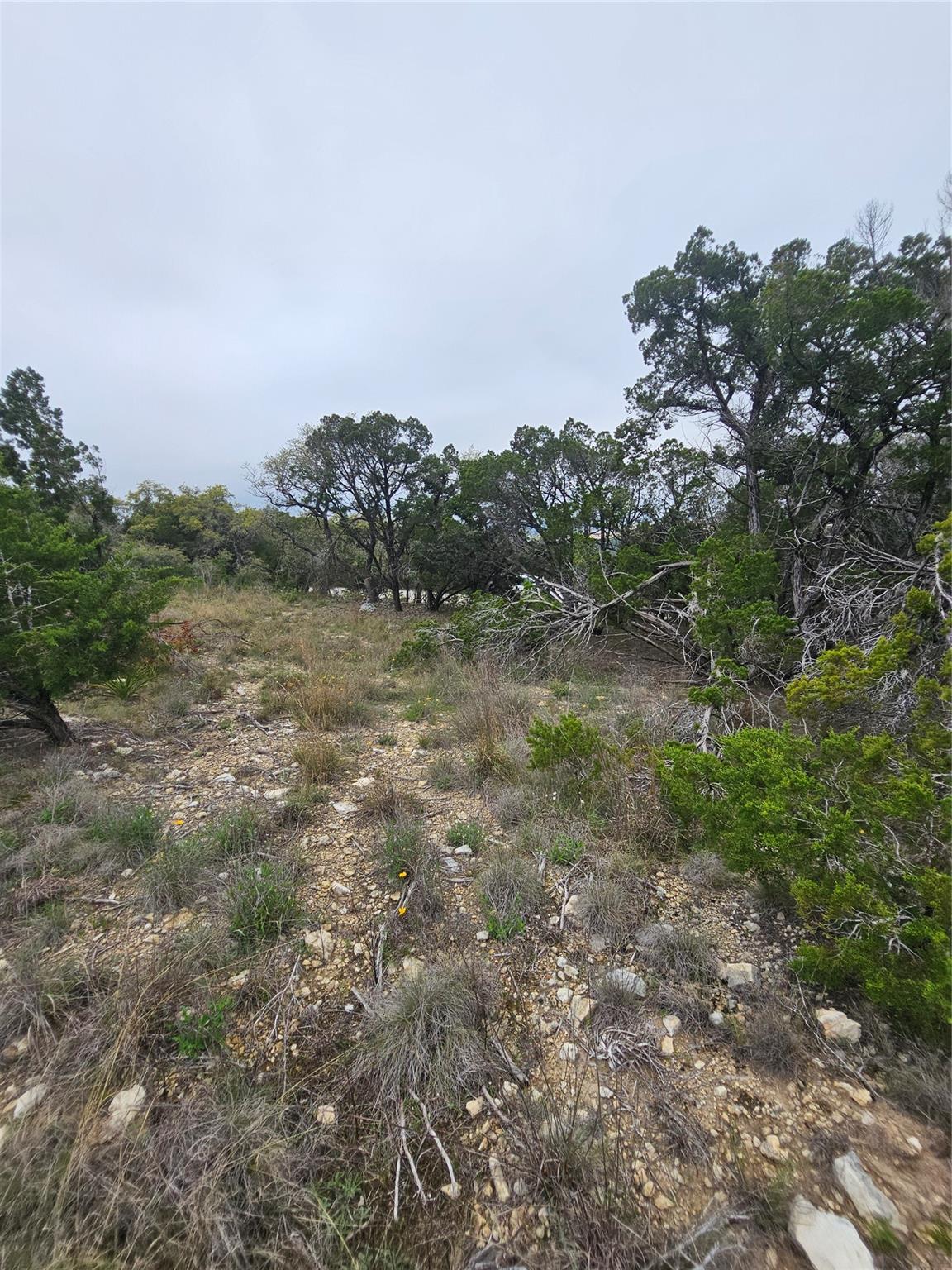 8202 Bar K Ranch Rd Property Photo 11