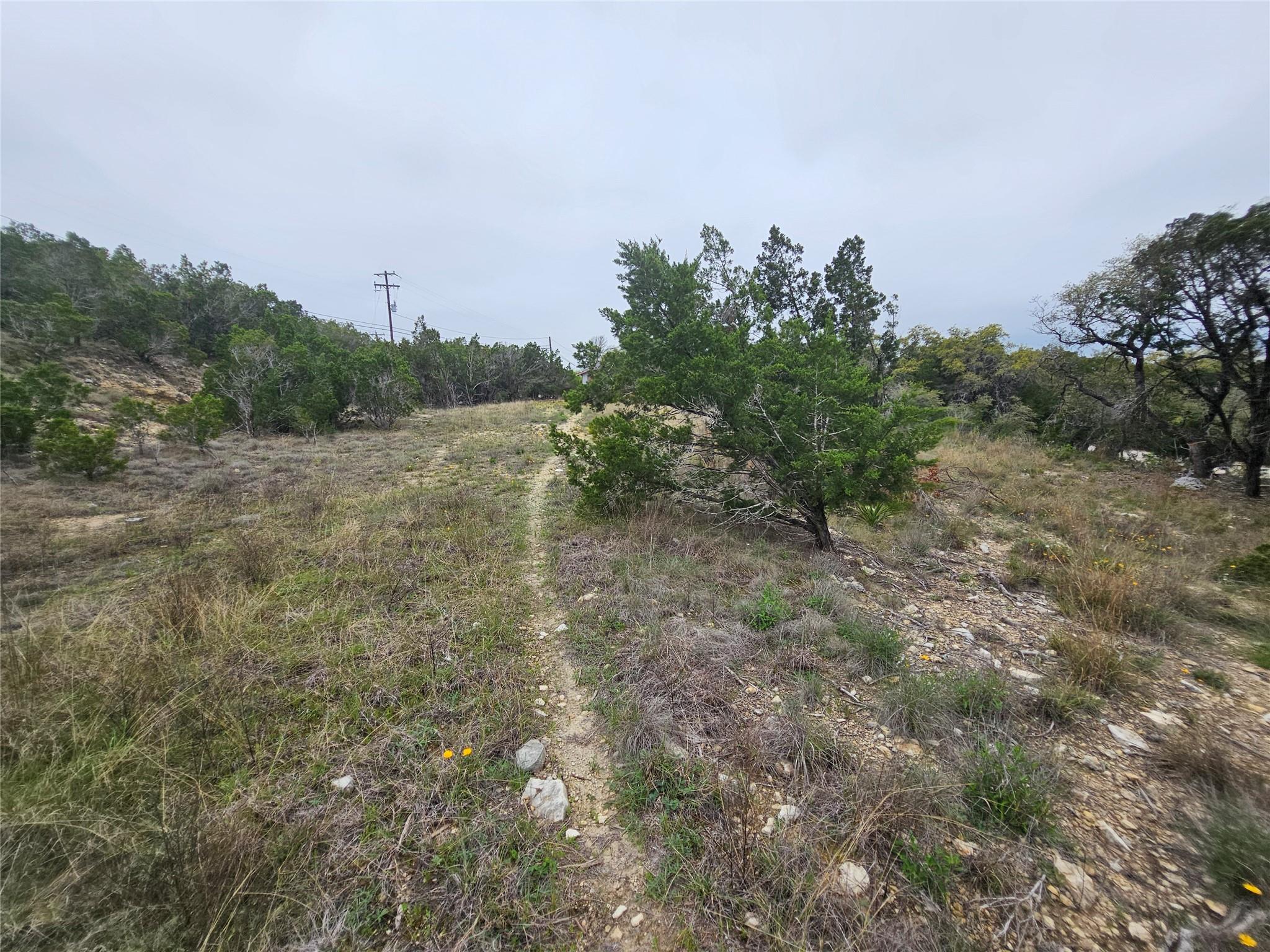 8202 Bar K Ranch Rd Property Photo 12