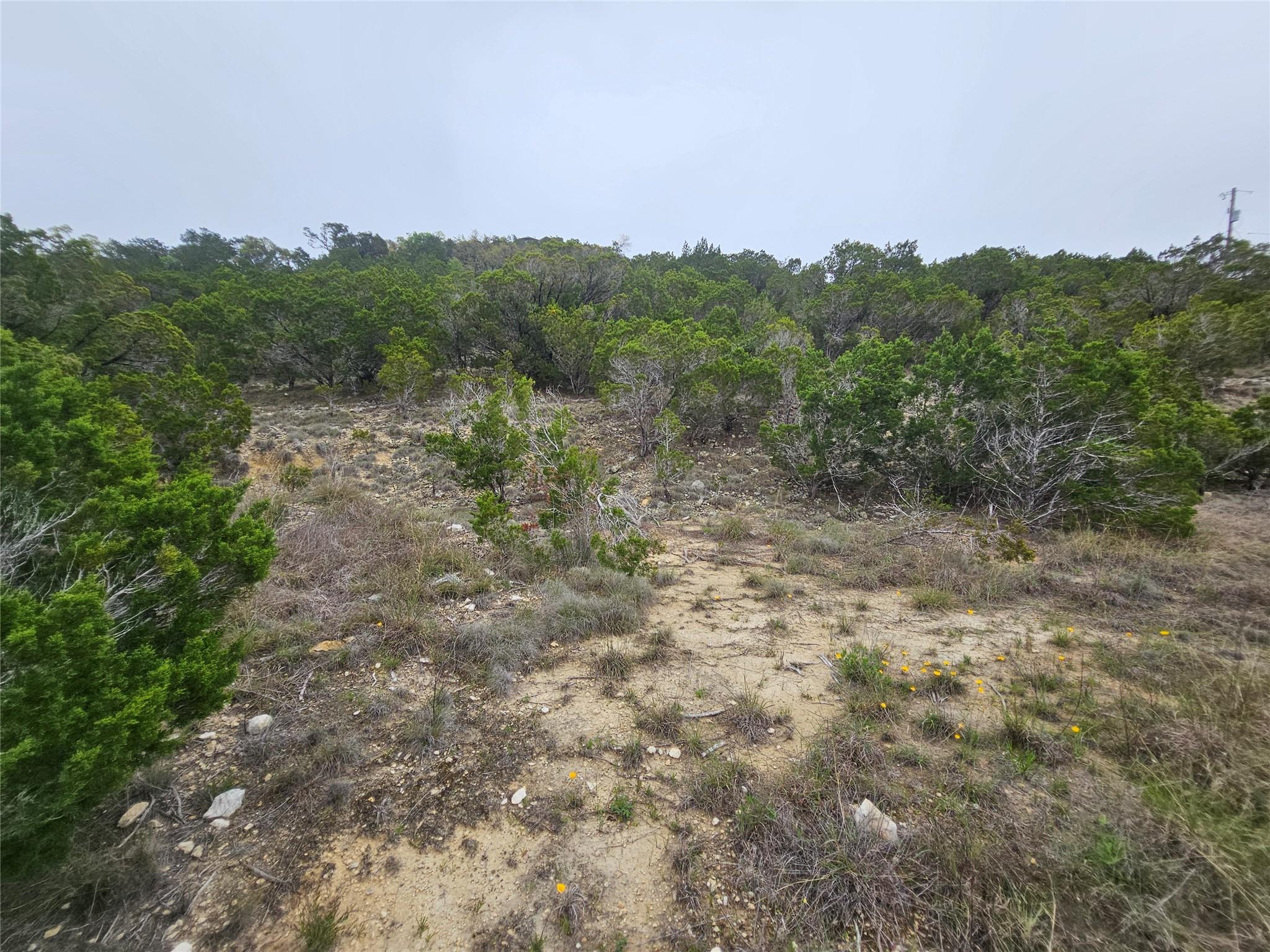 8202 Bar K Ranch Rd Property Photo 13