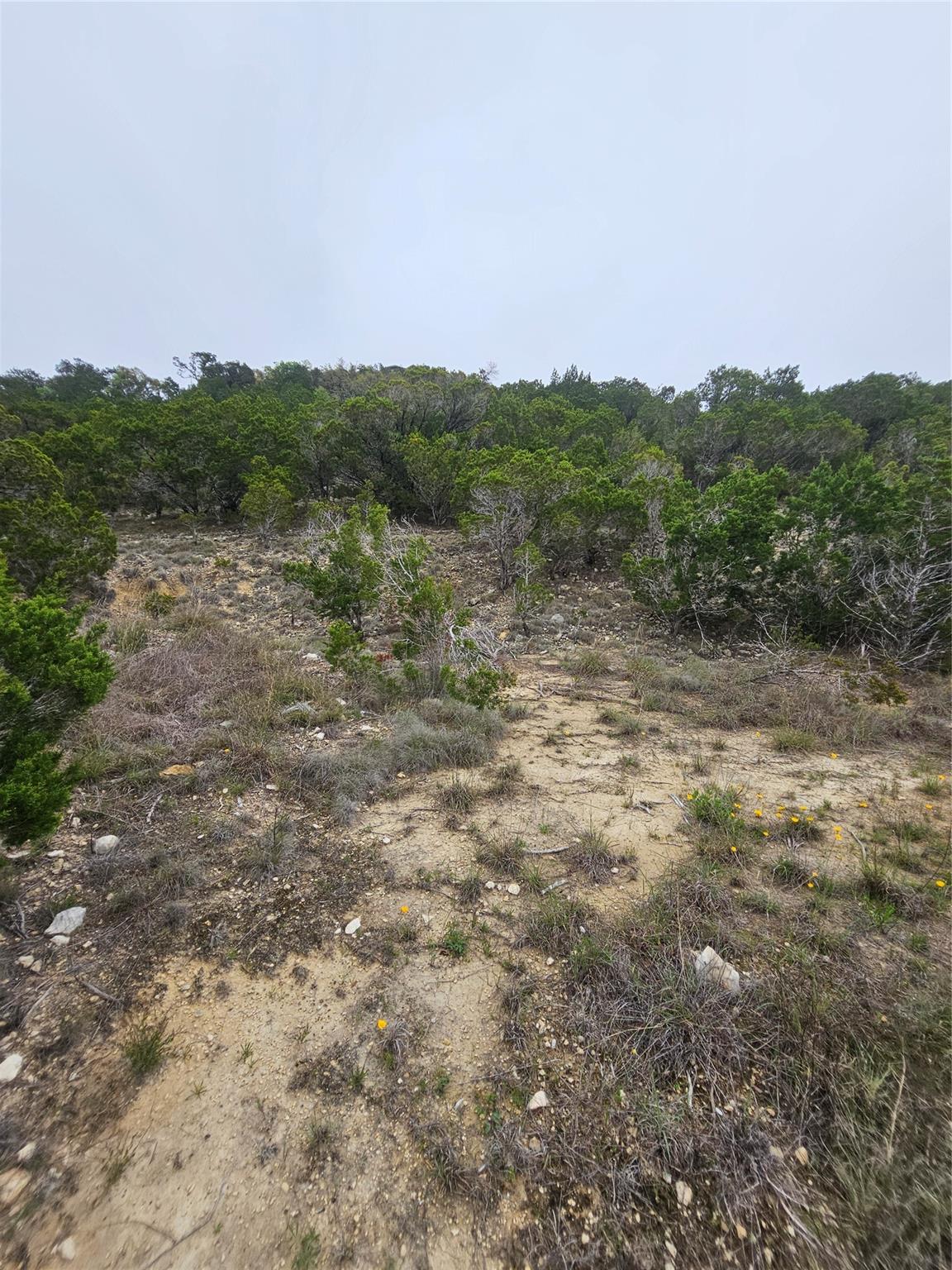 8202 Bar K Ranch Rd Property Photo 14
