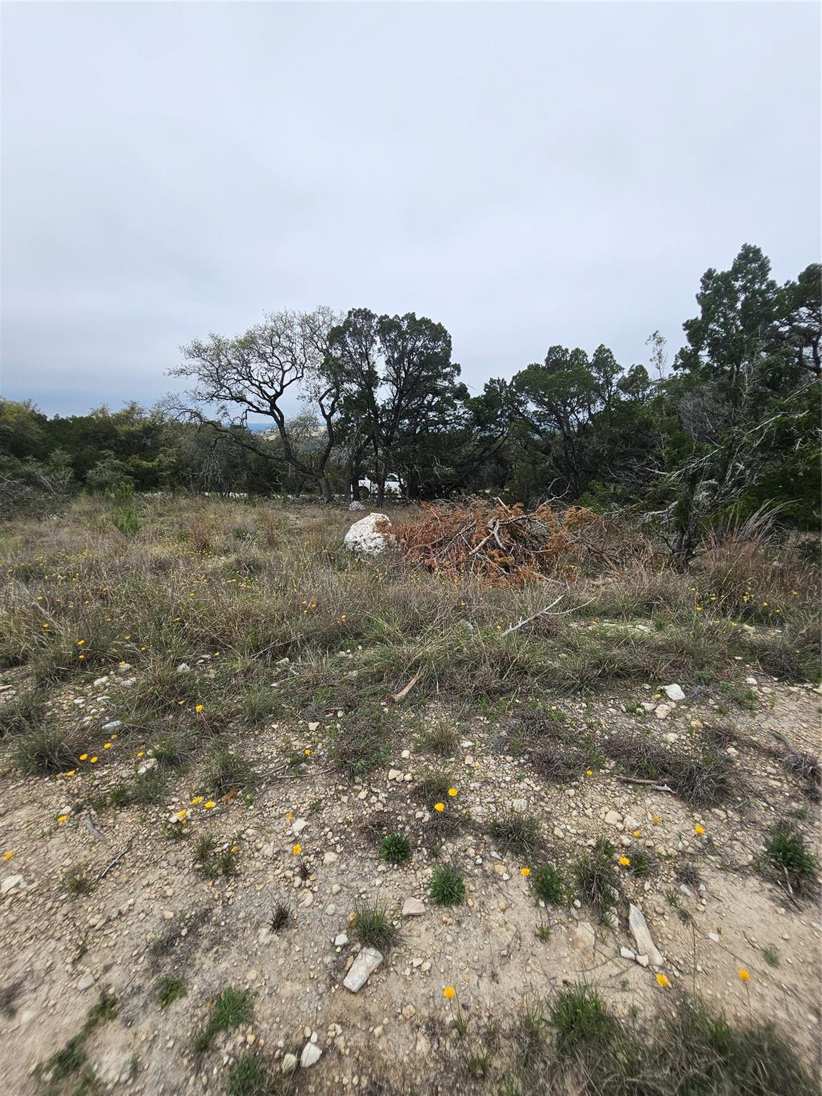 8202 Bar K Ranch Rd Property Photo 15