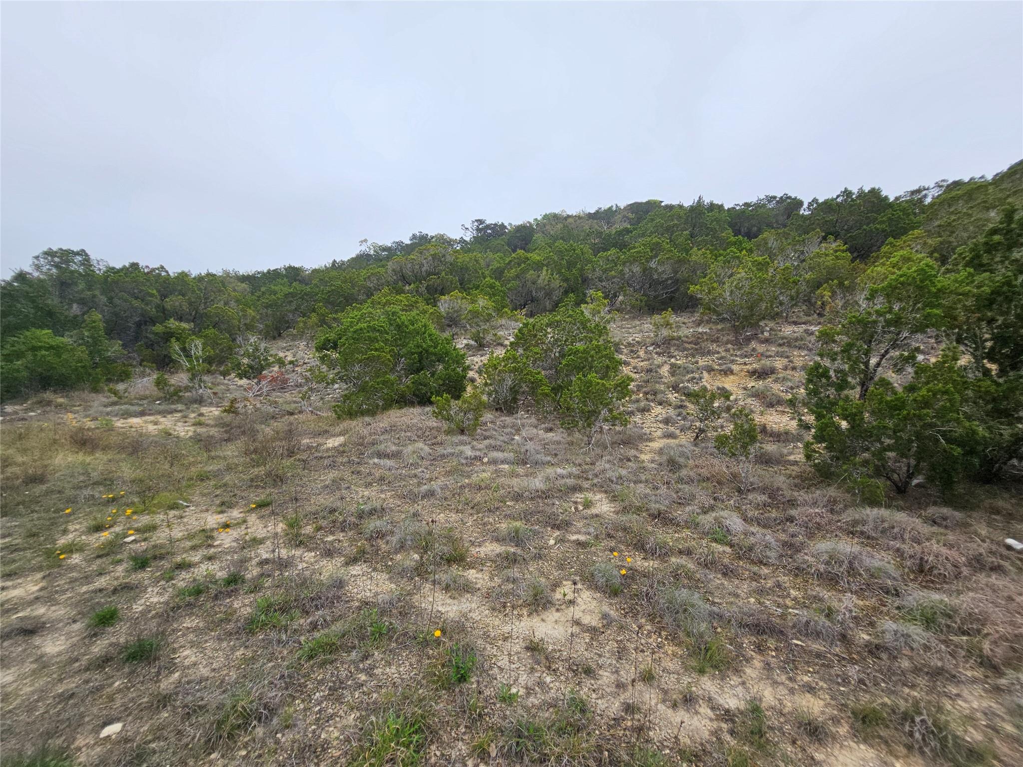 8202 Bar K Ranch Rd Property Photo 16