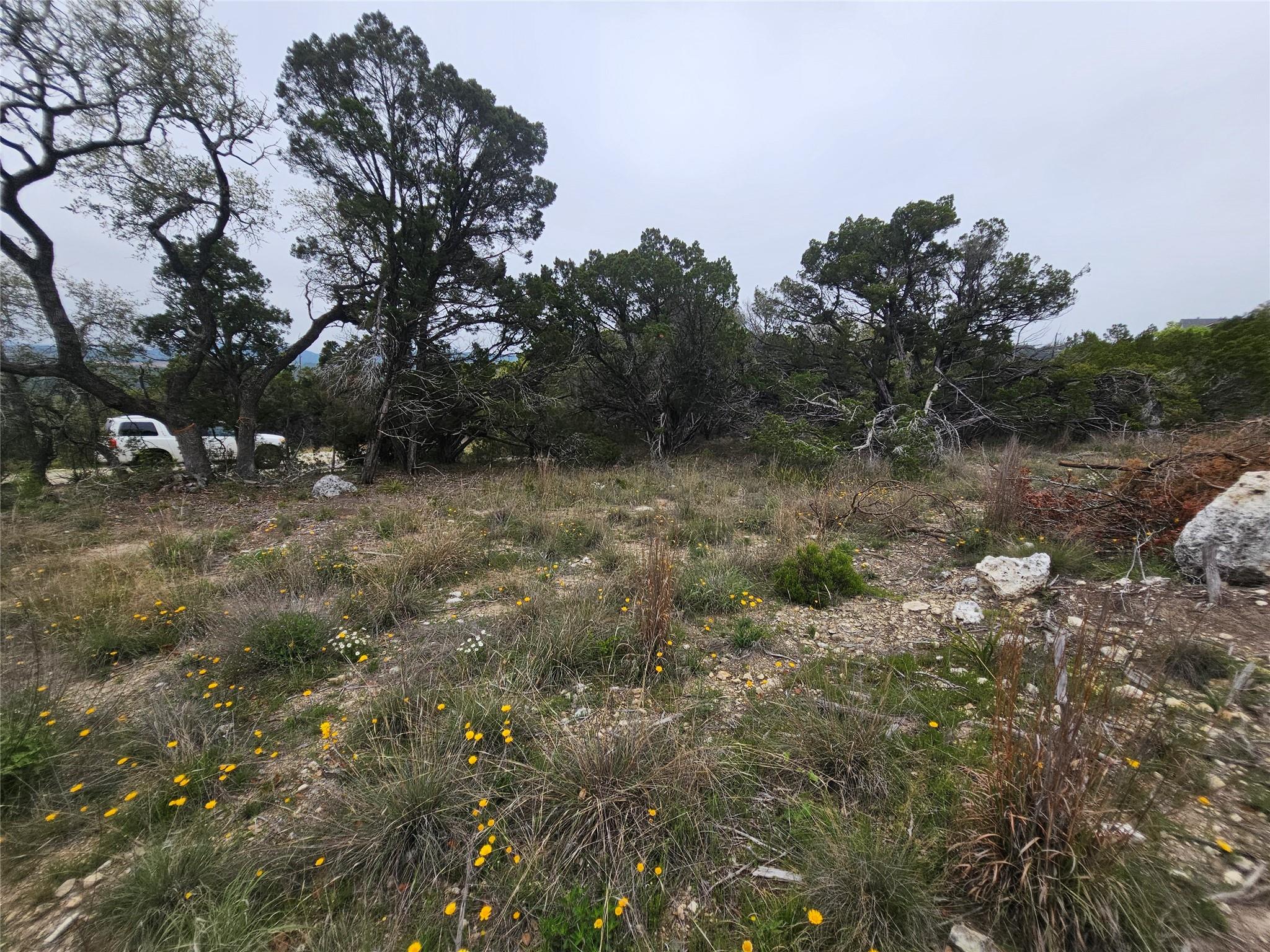 8202 Bar K Ranch Rd Property Photo 17