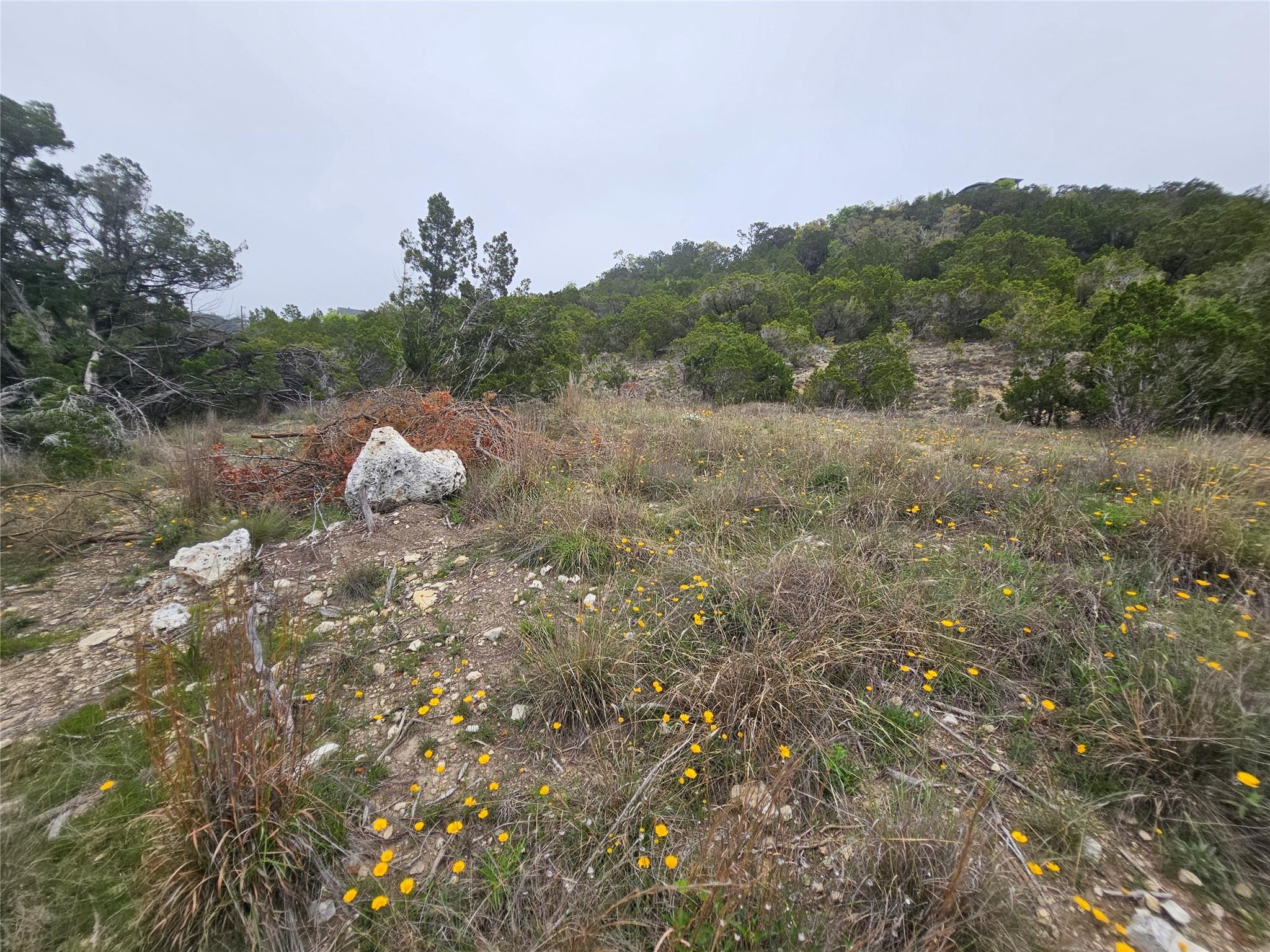 8202 Bar K Ranch Rd Property Photo 18