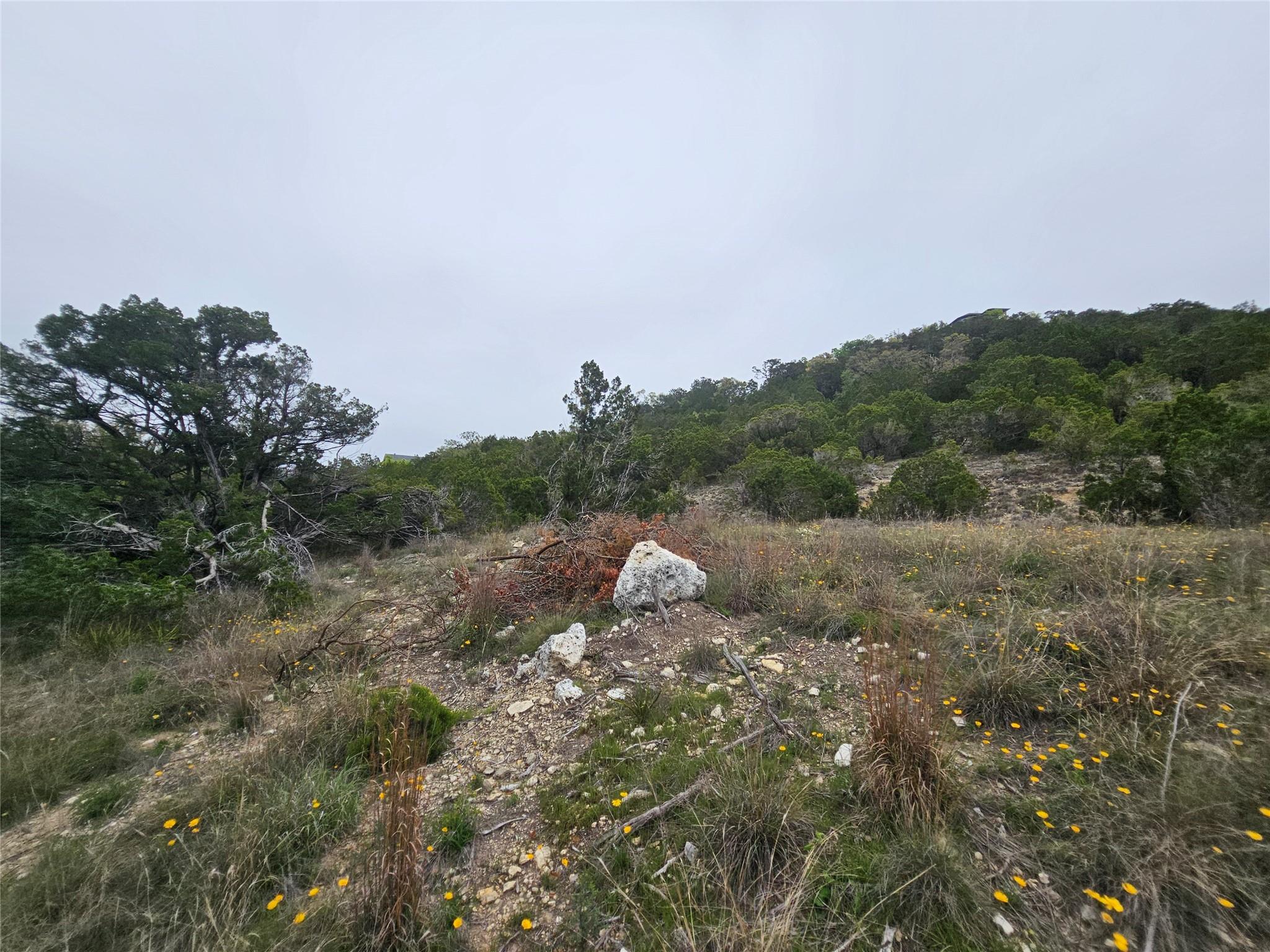8202 Bar K Ranch Rd Property Photo 19