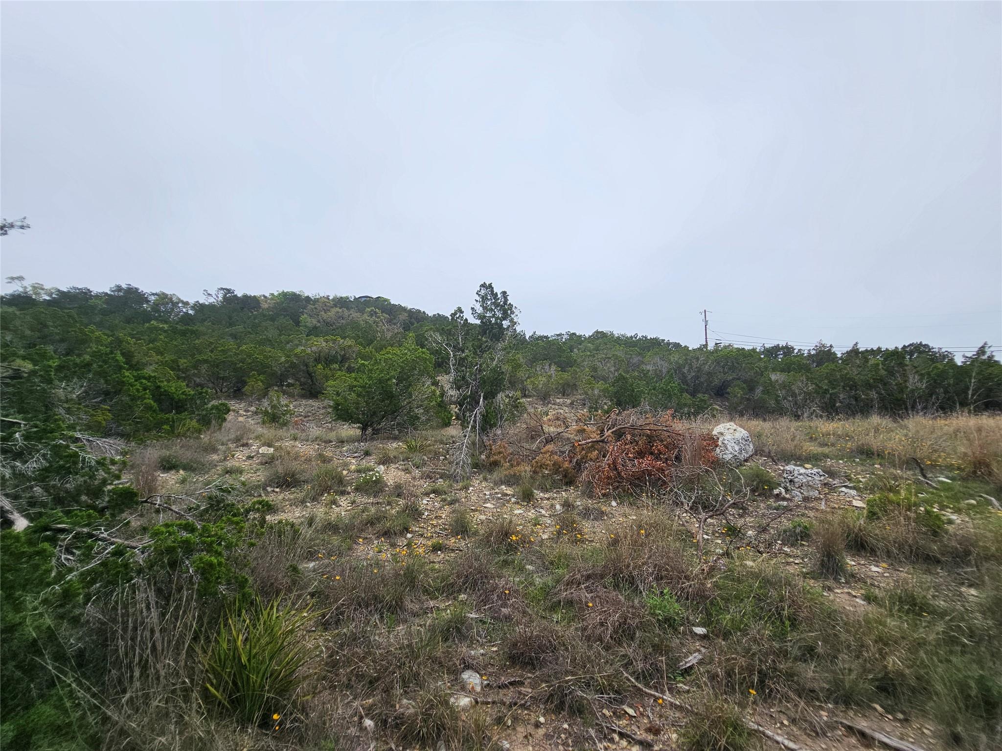 8202 Bar K Ranch Rd Property Photo 20
