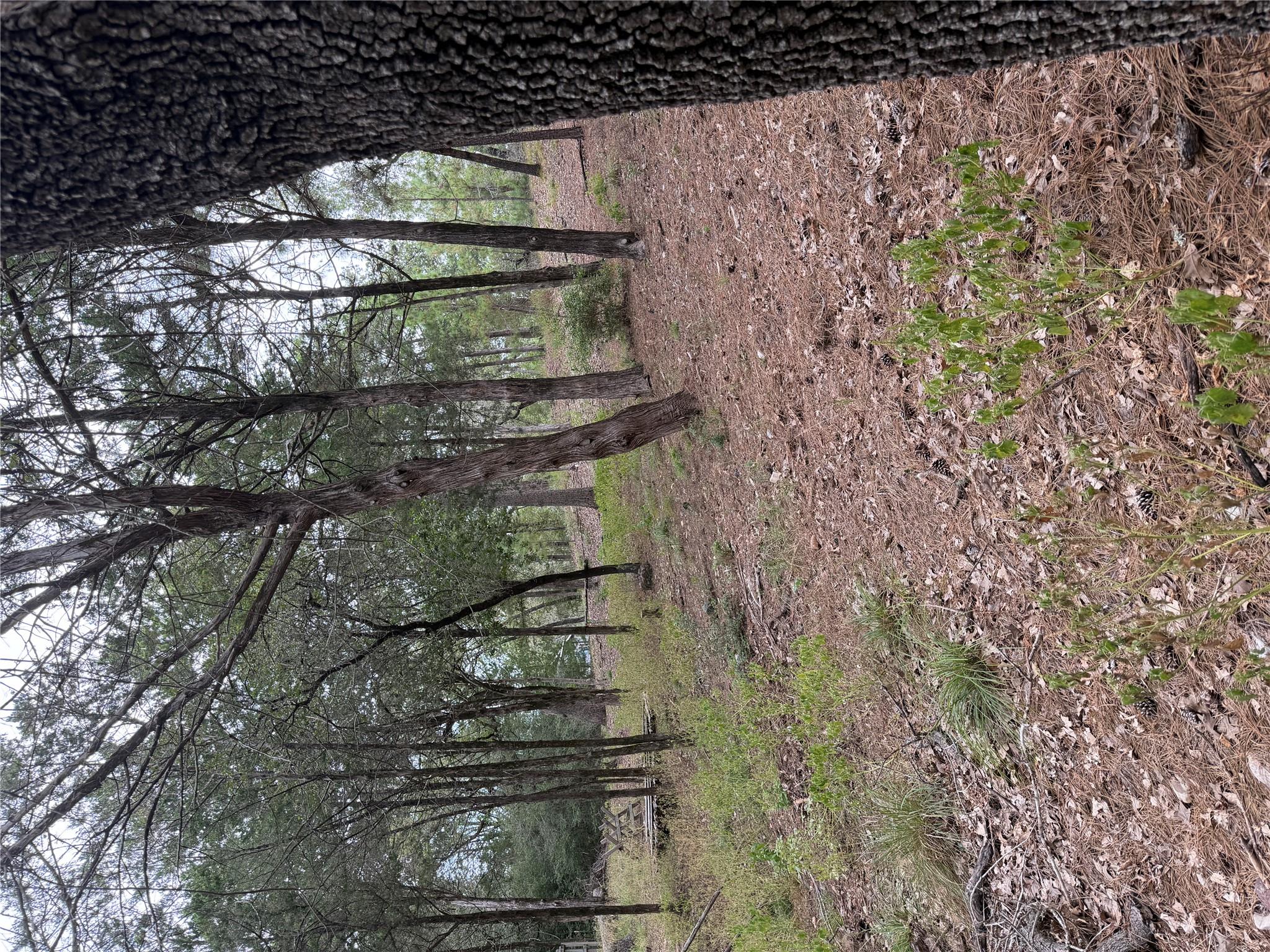 Lot 289 Aka Ct Property Photo 1