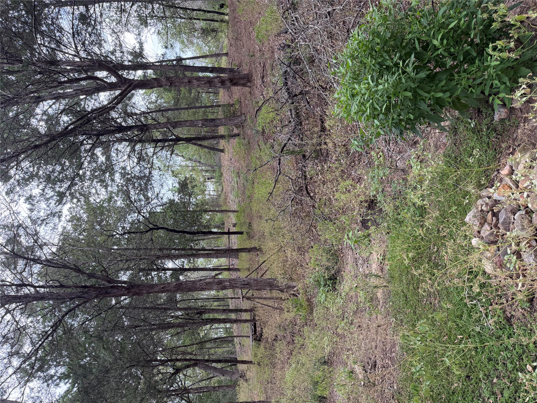 Lot 289 Aka Ct Property Photo 2