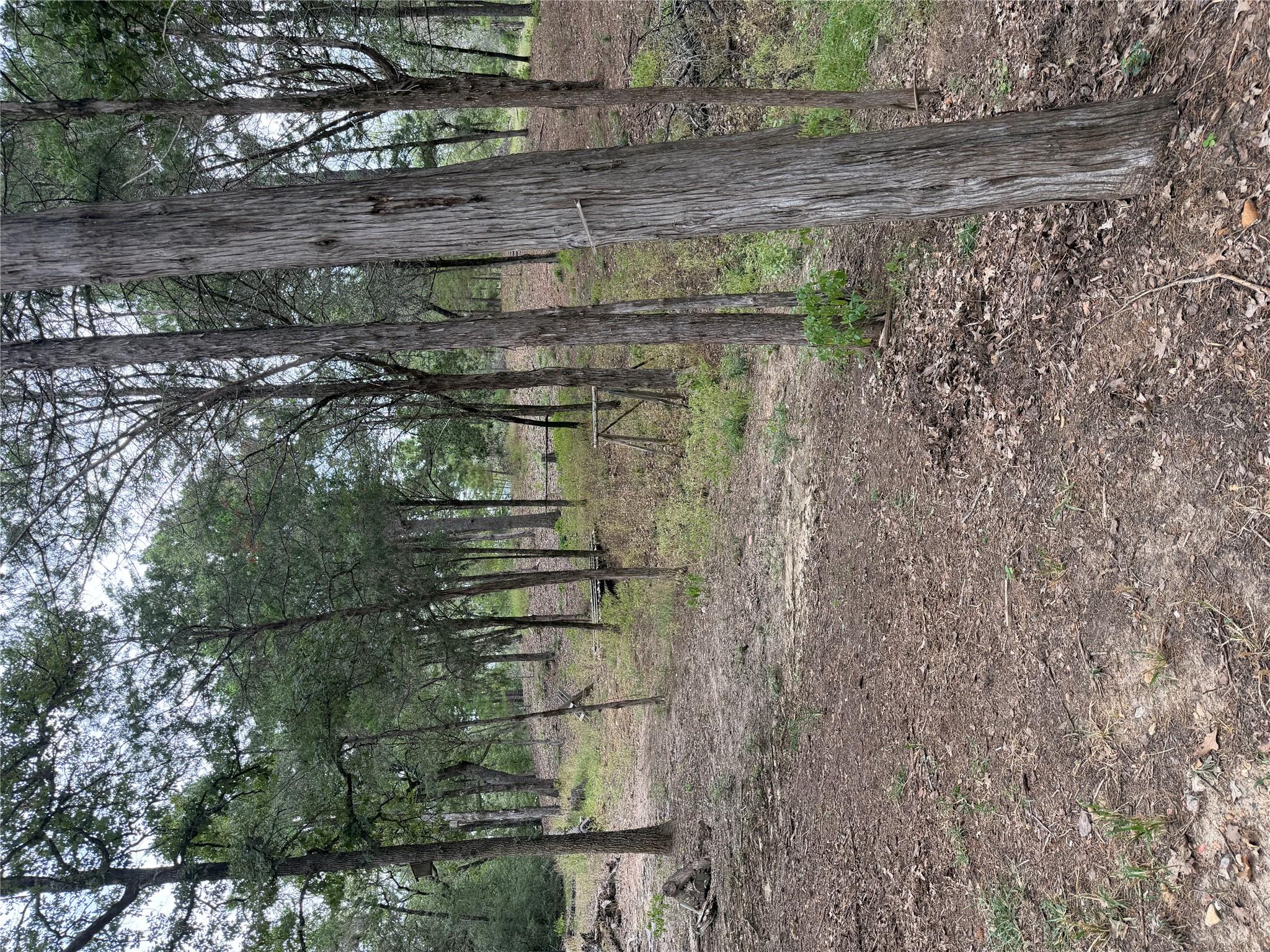 Lot 289 Aka Ct Property Photo 3
