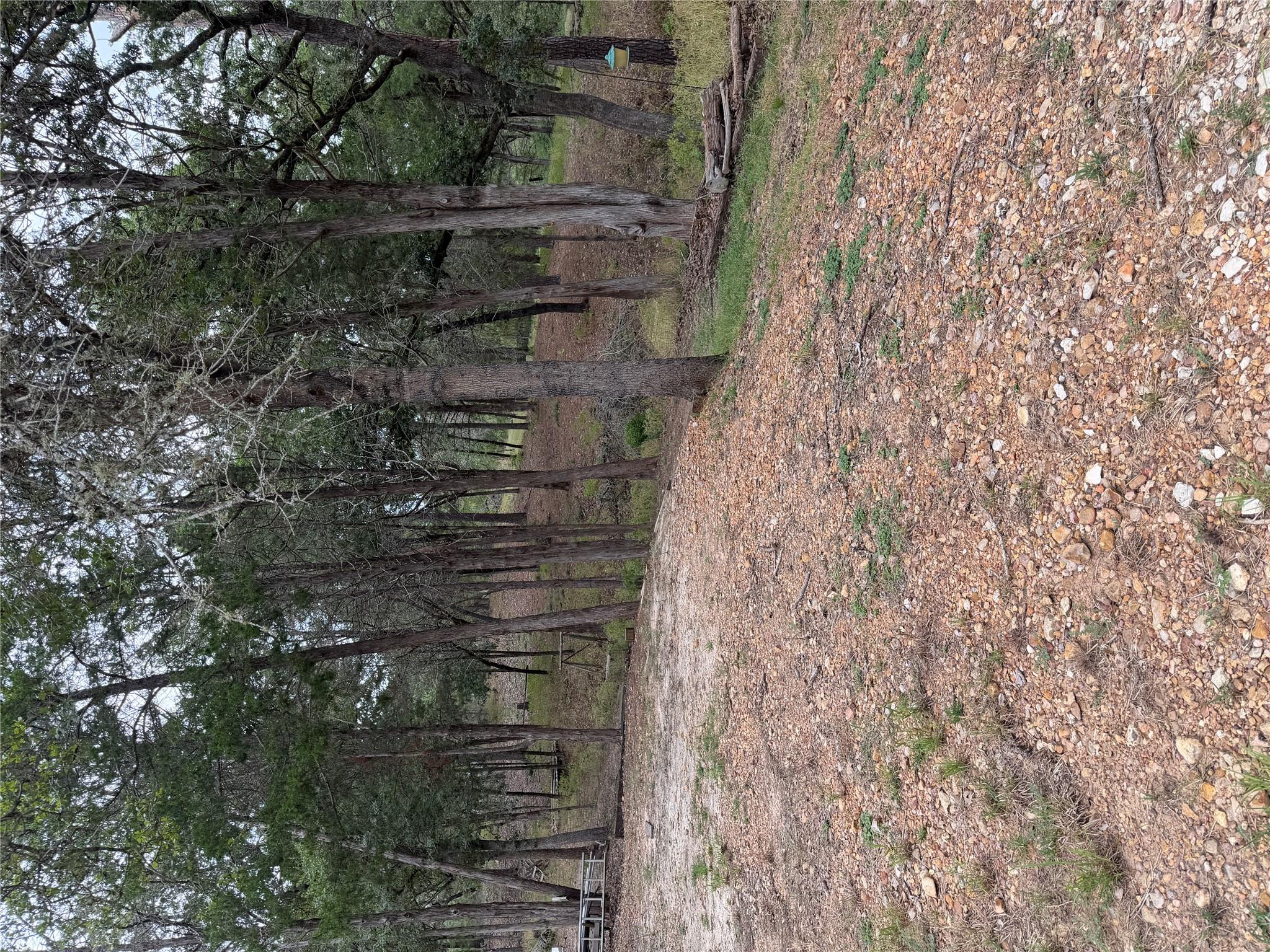 Lot 289 Aka Ct Property Photo 4