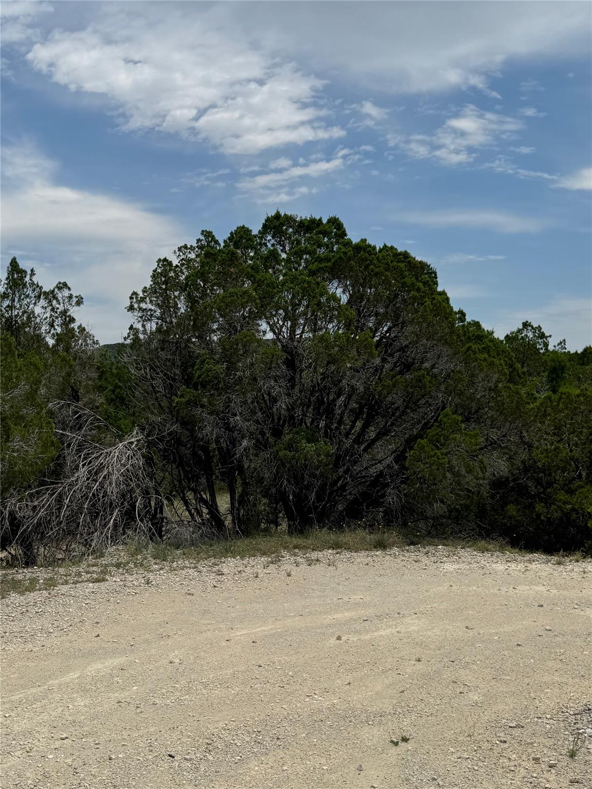 20800 Cedar Ridge Cv Property Photo 2