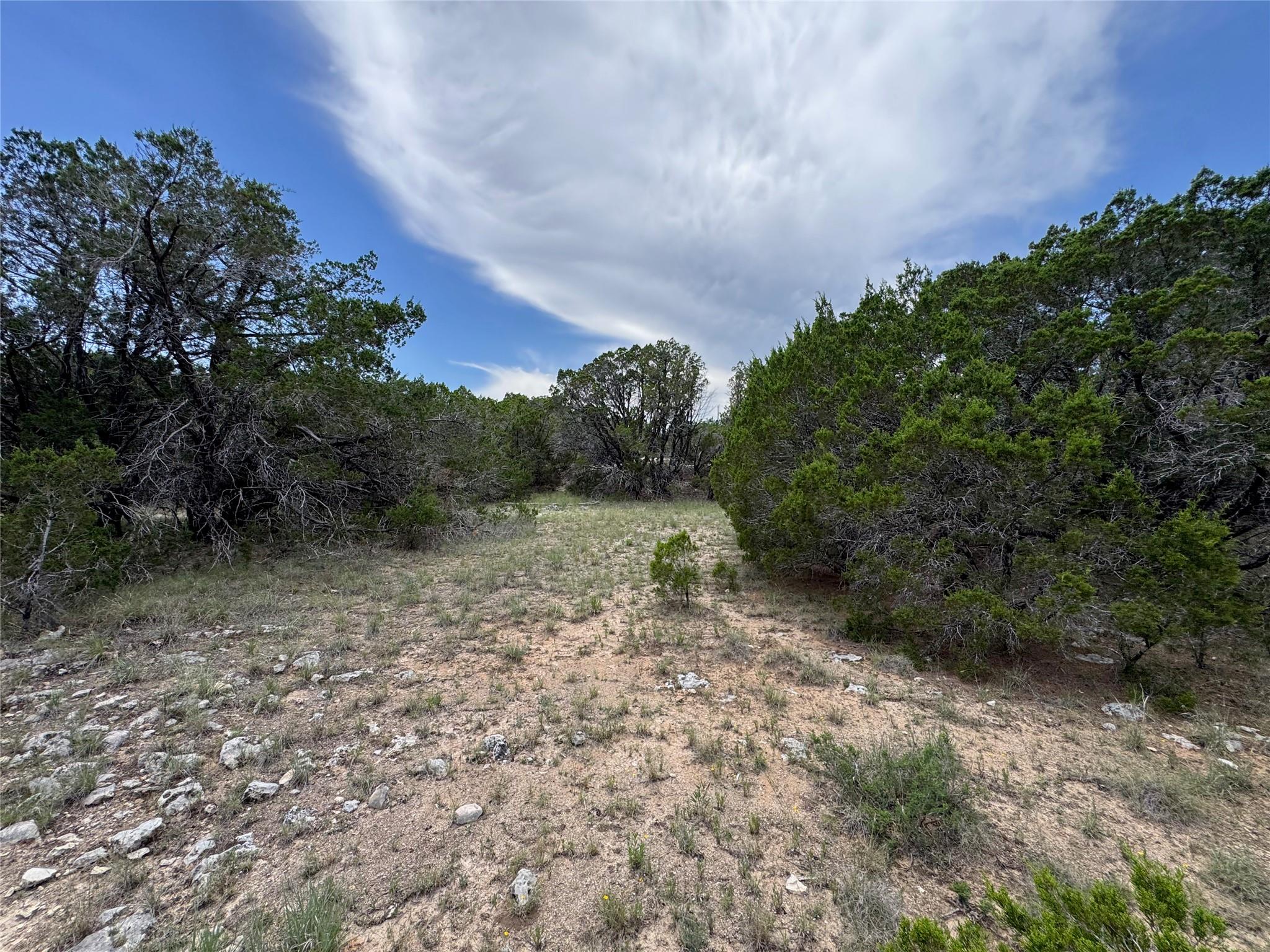 20800 Cedar Ridge Cv Property Photo 5