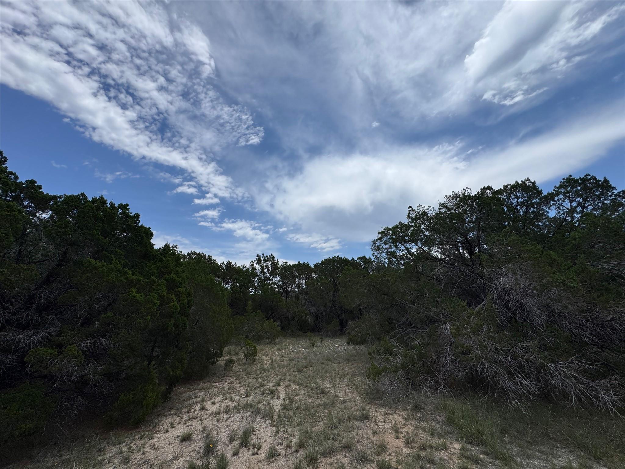 20800 Cedar Ridge Cv Property Photo 6