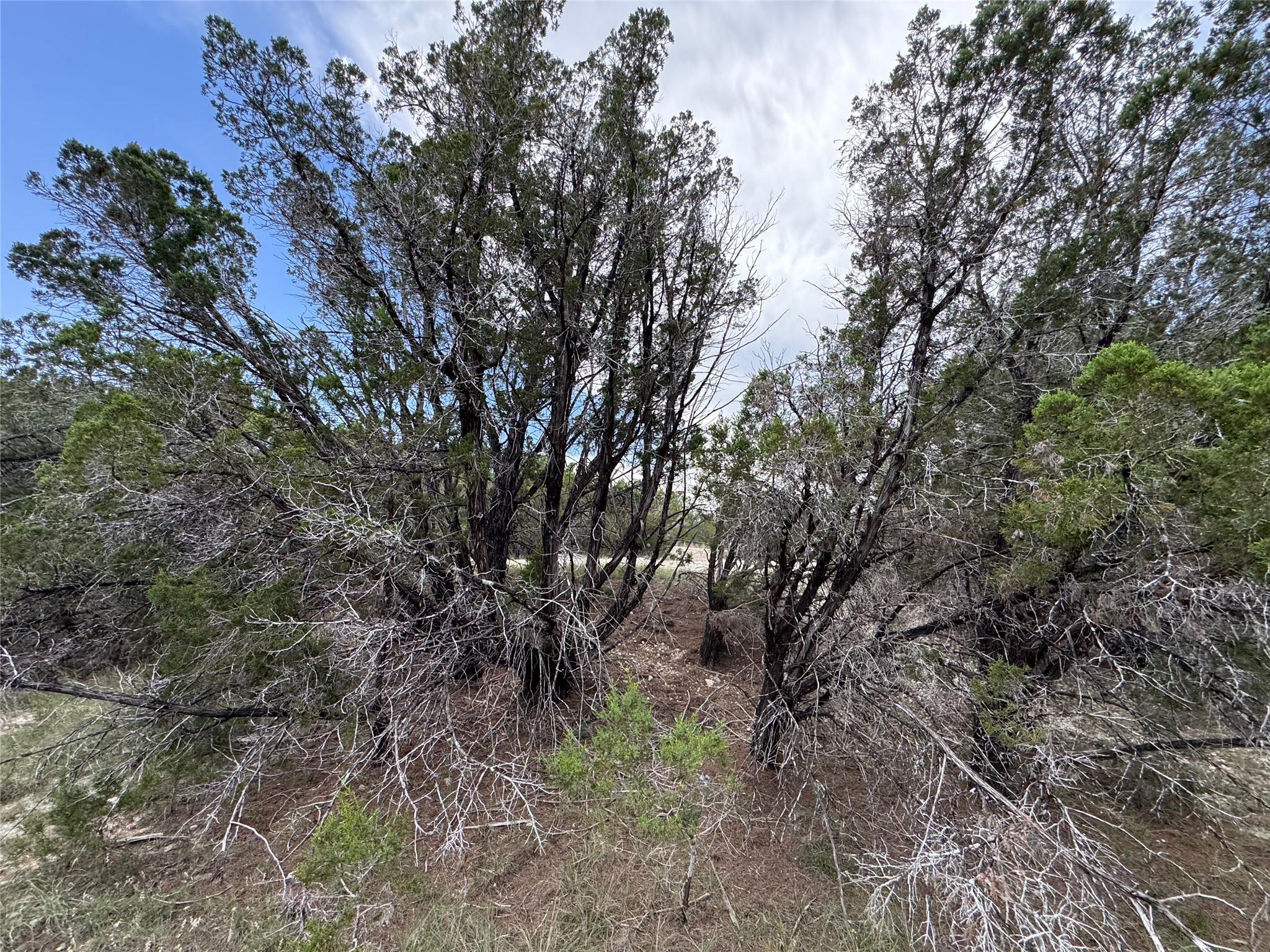 20800 Cedar Ridge Cv Property Photo 7