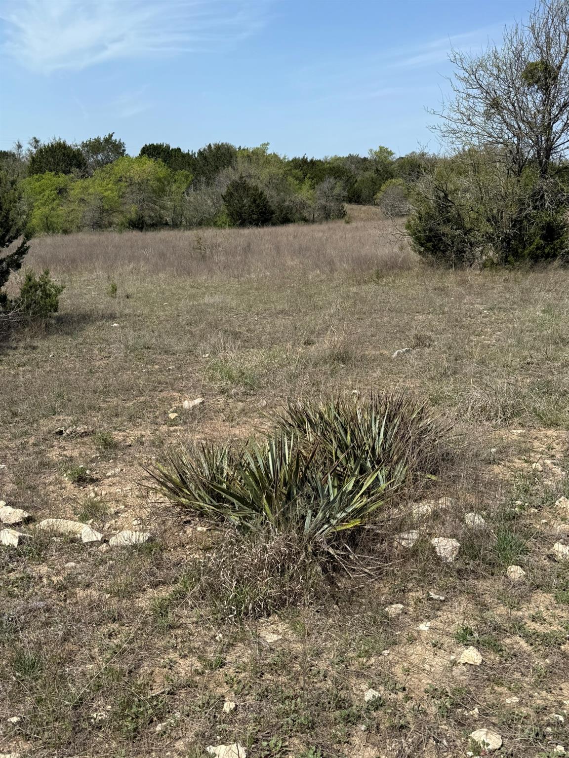 Tbd Lot 109 Pitchfork Ranch Rd Property Photo 8